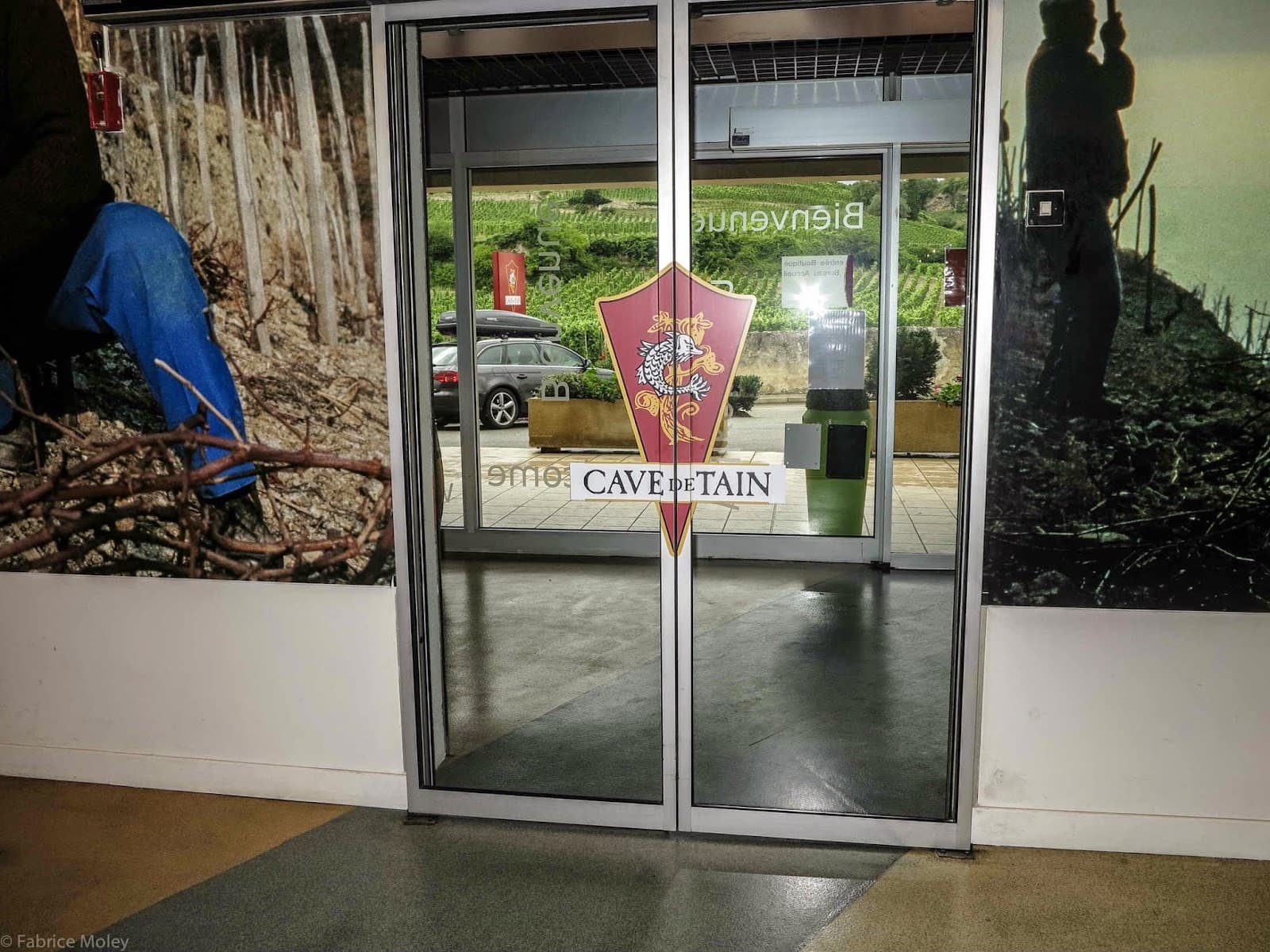 Tain-l’Hermitage Vineyards - Image 1