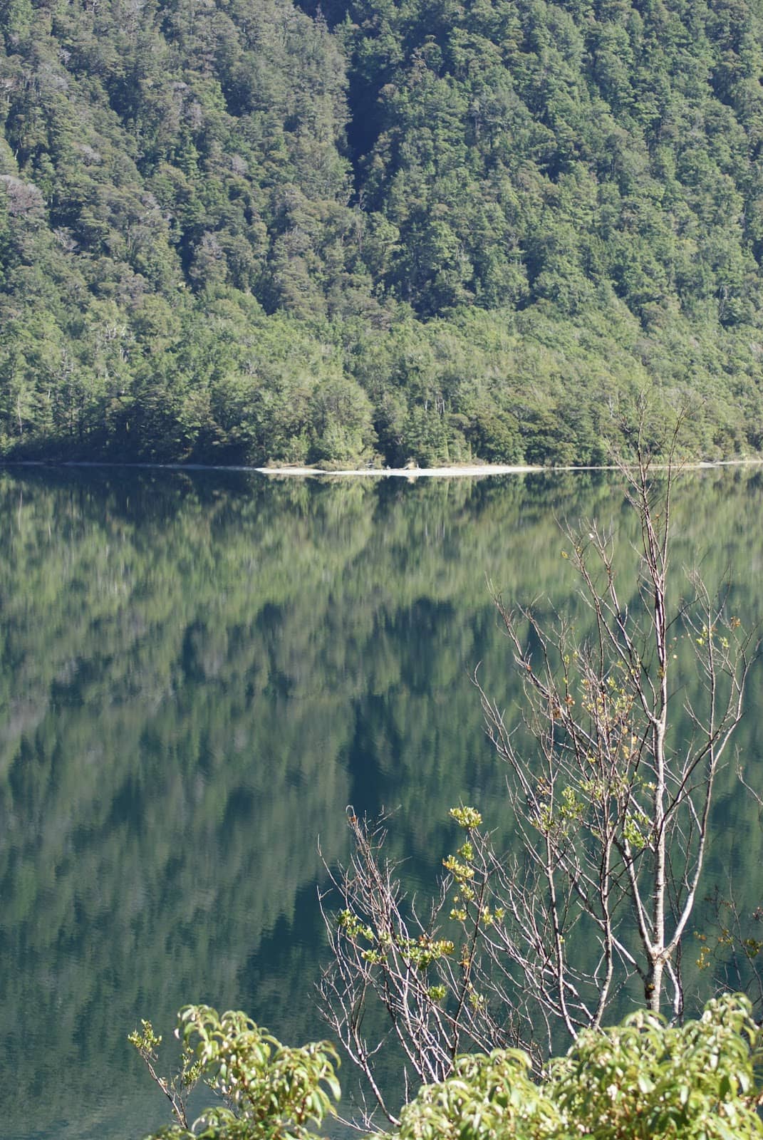 Vertical photo