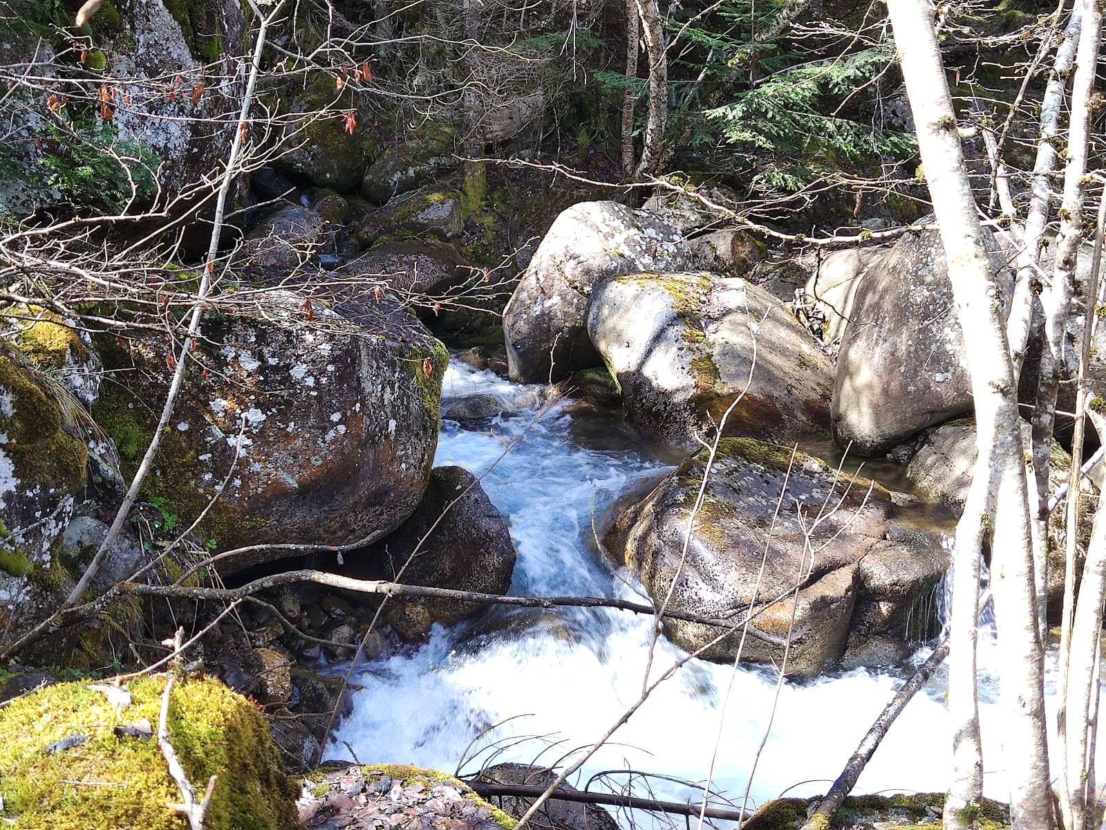Vertical photo