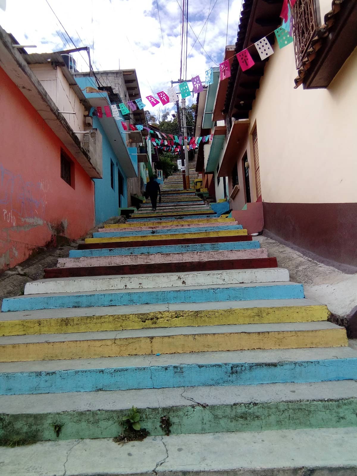 Vertical photo