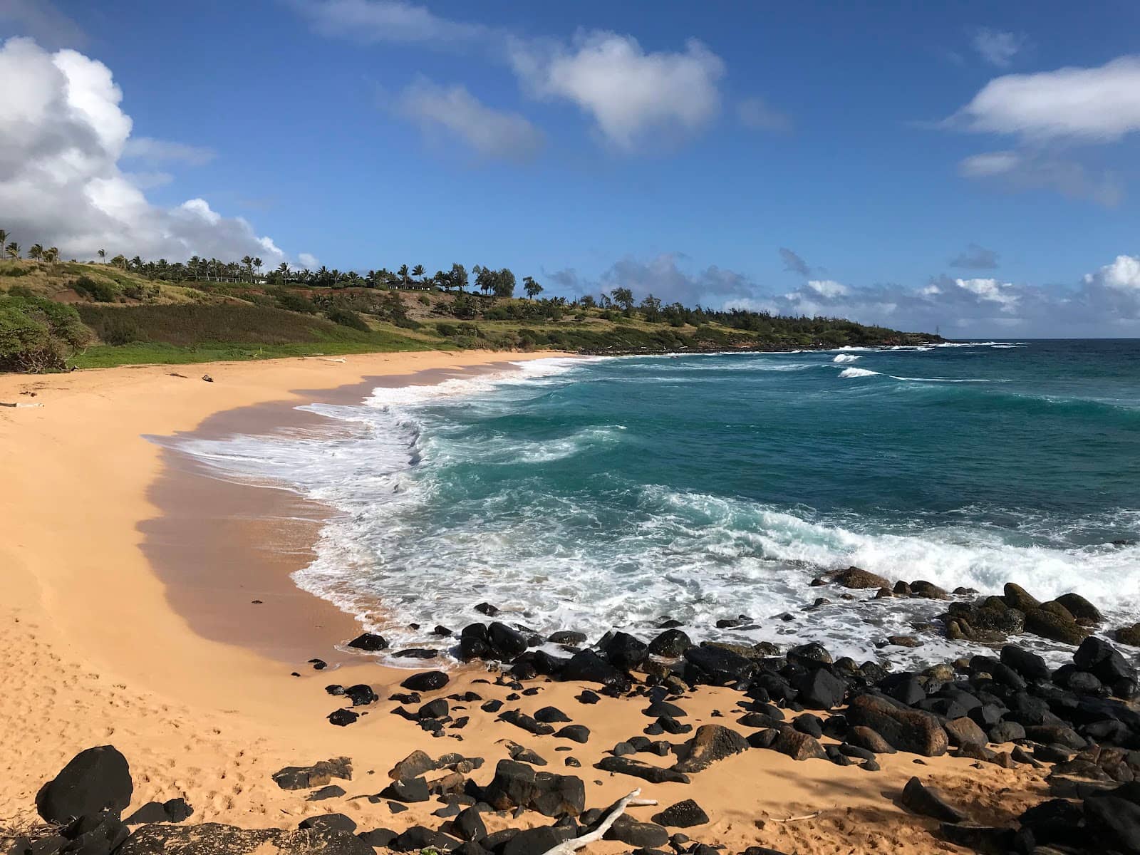 Dramatic Ocean Views