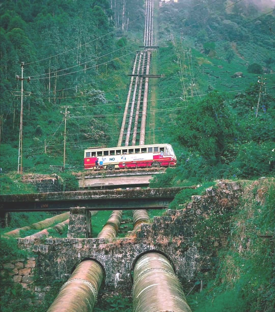 Vertical photo