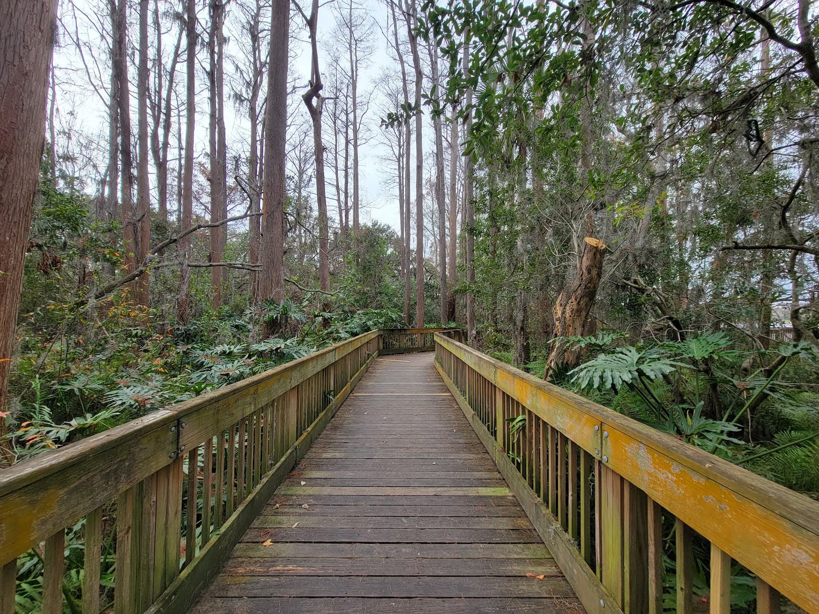 A.L. Anderson Park - Image 1