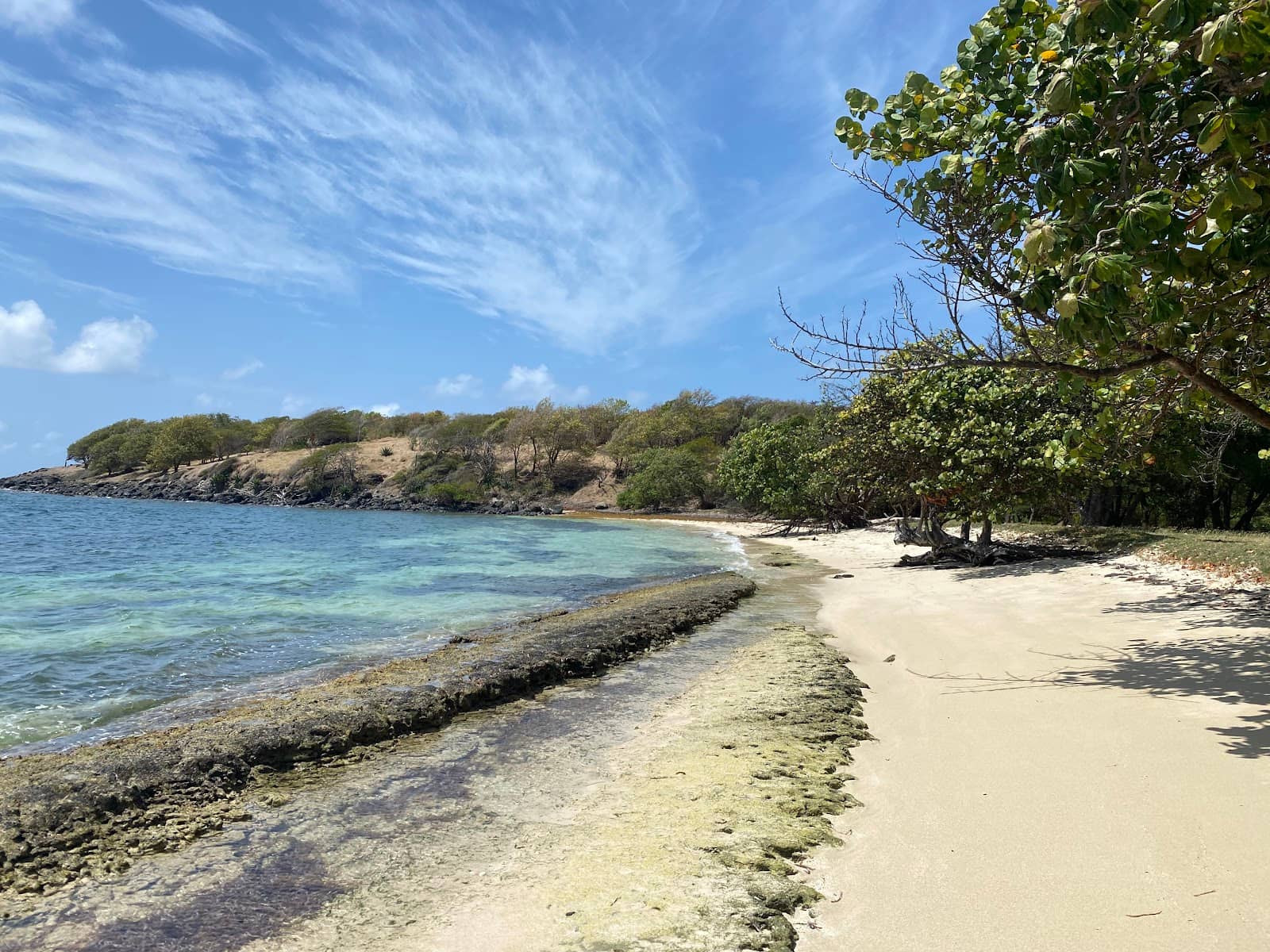 Woburn Coastal Views