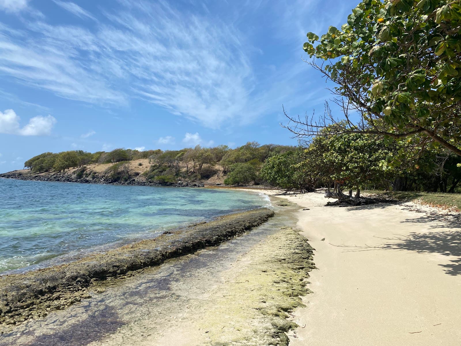 Hog Island - Image 1