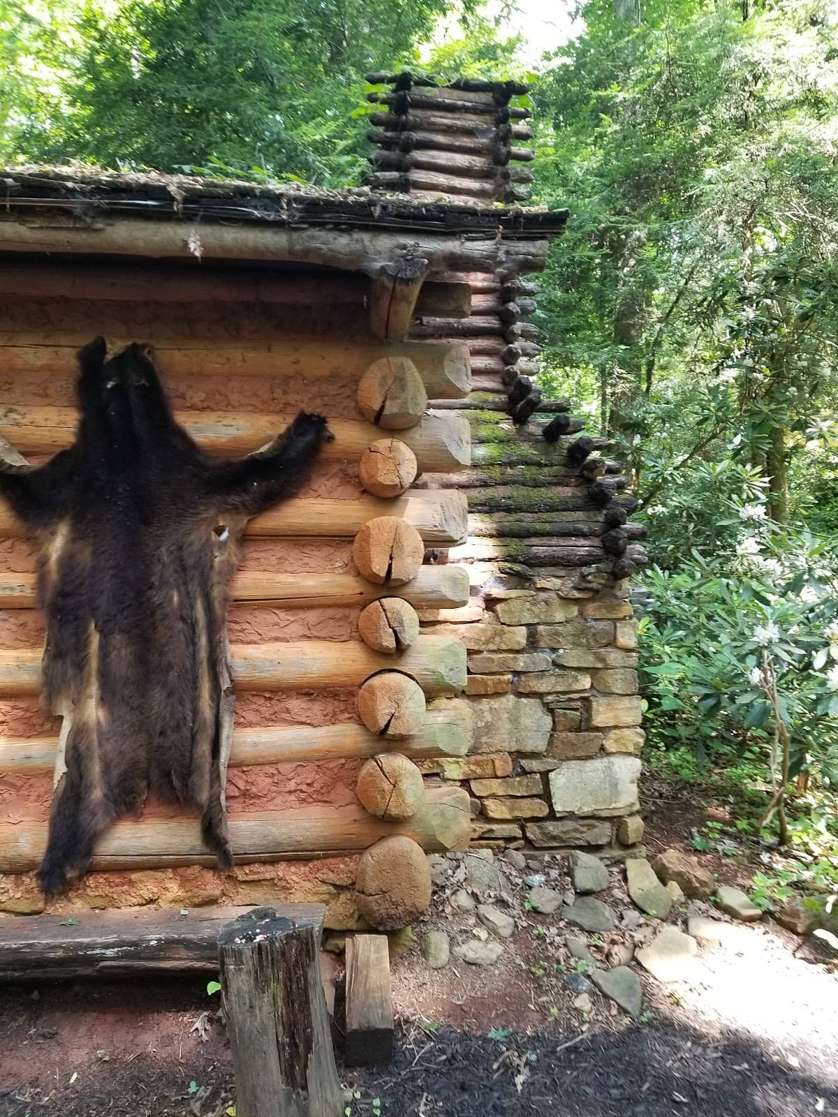 Cherokee Bear Dance