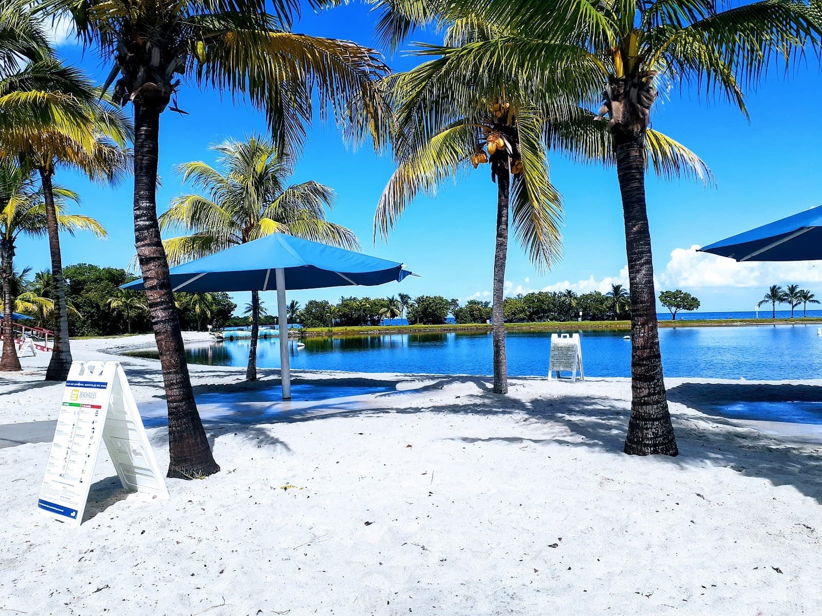 Homestead Bayfront Park and Marina - Image 1