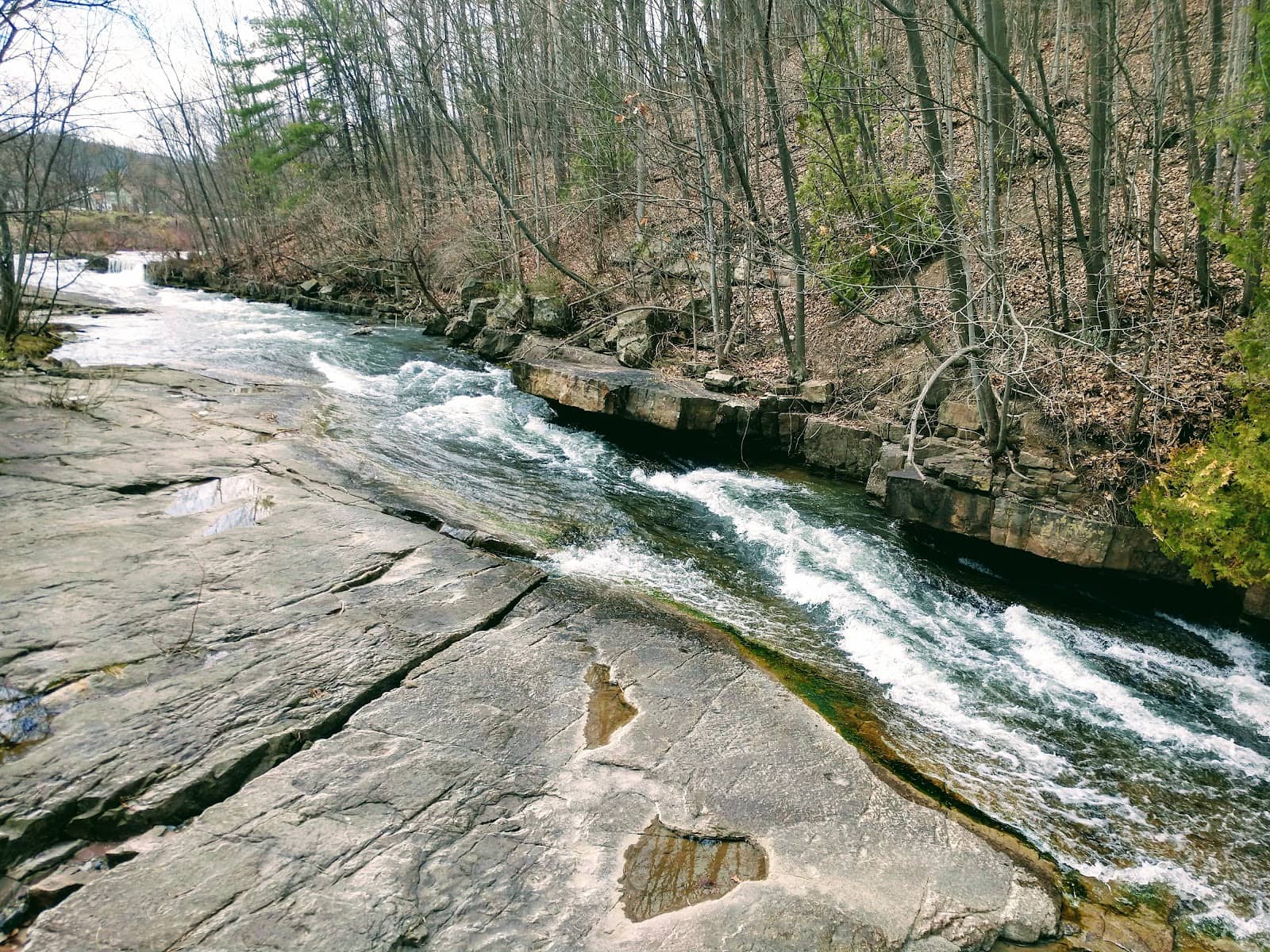 Vertical photo
