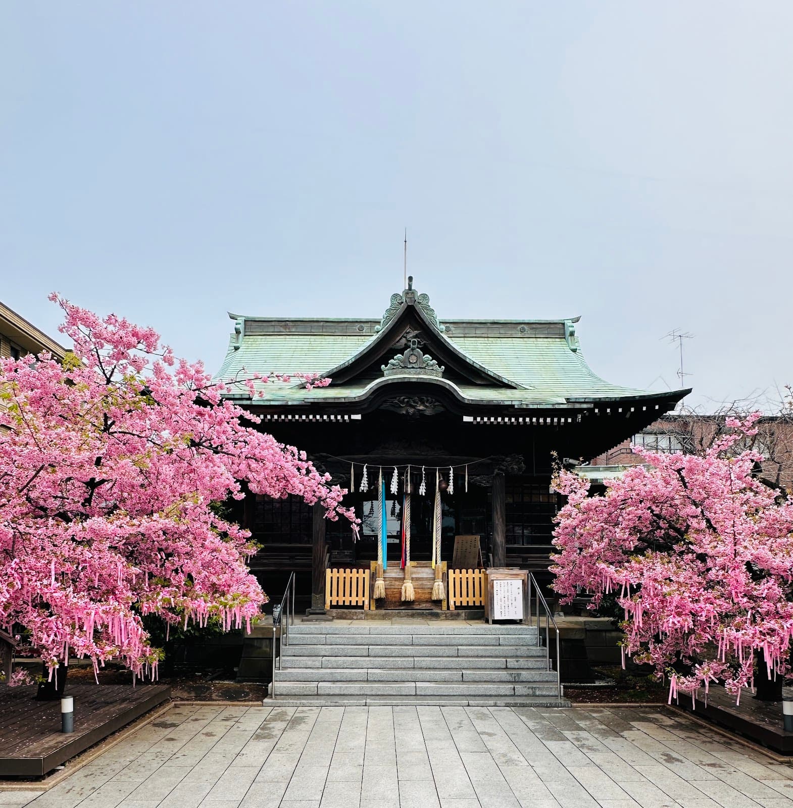Sakura Jingu Shrine - Image 1