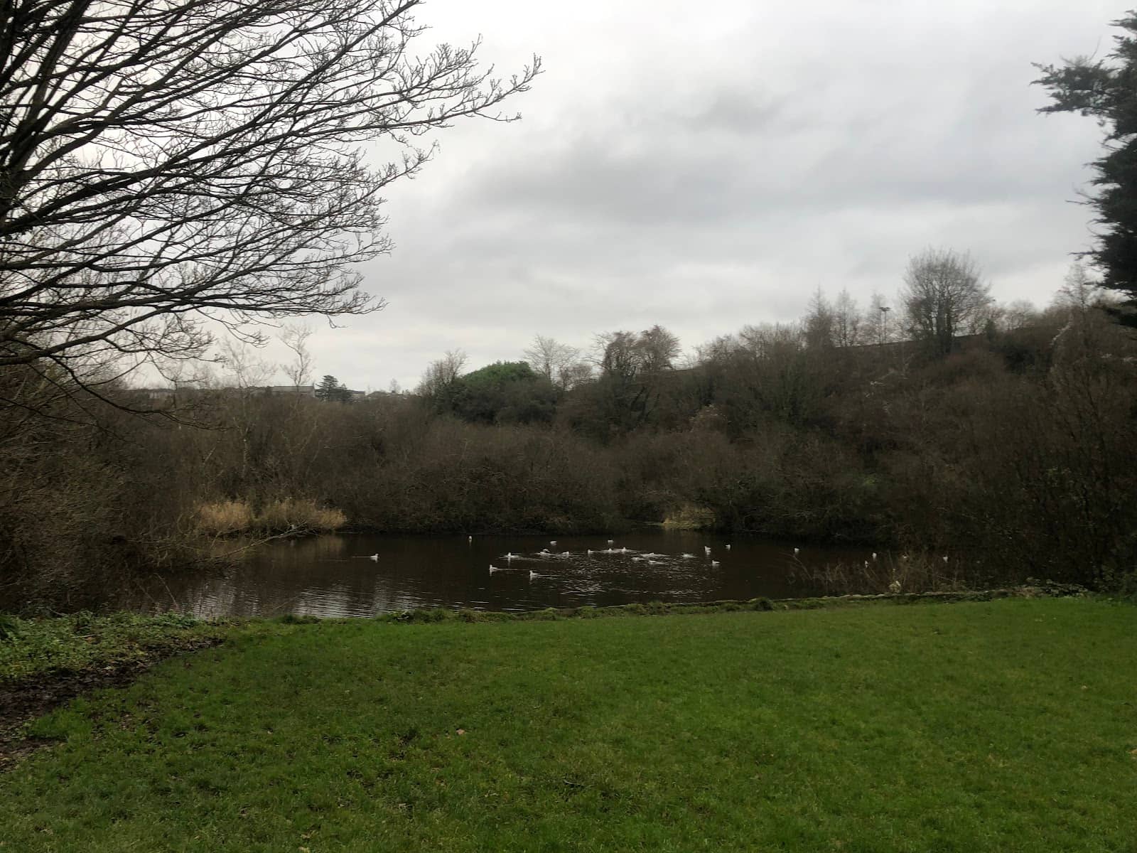 Wildlife Spotting