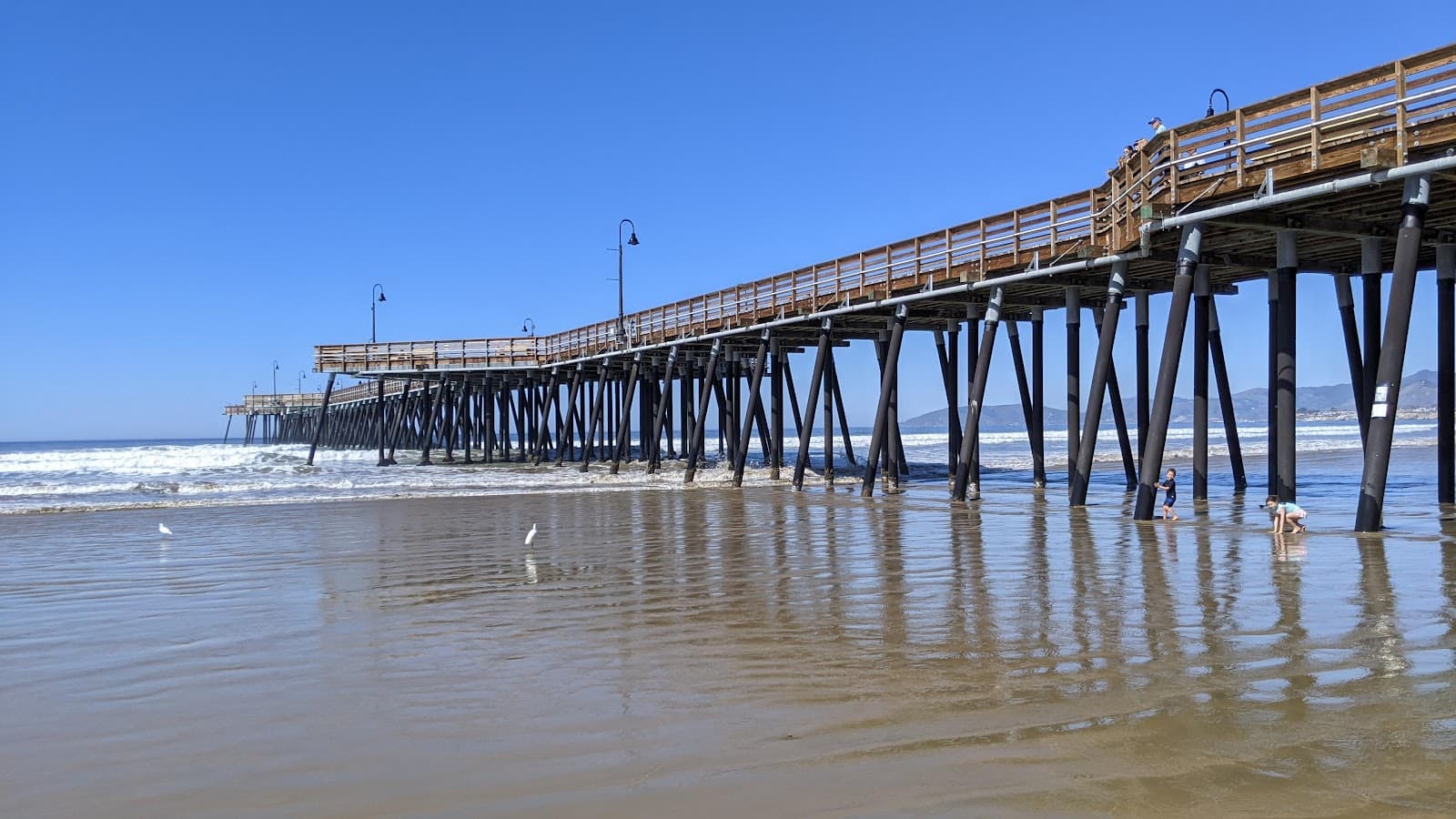 Meadow Creek Boardwalk - Image 1