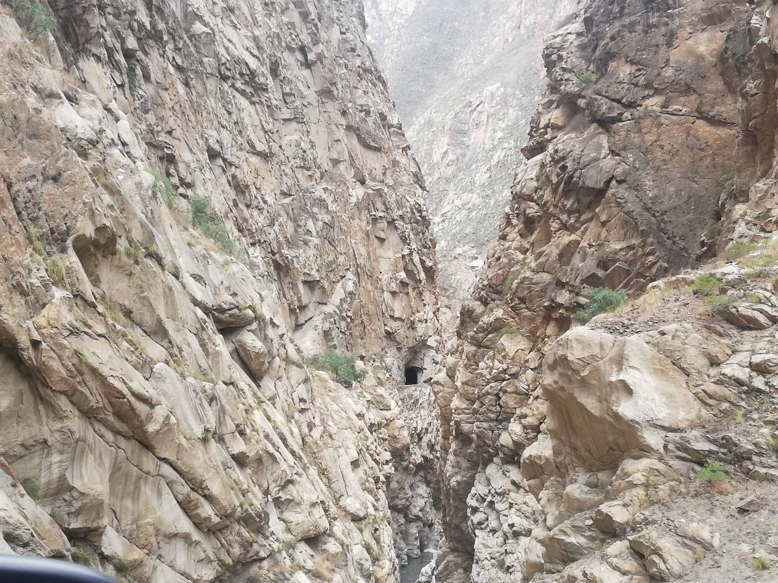 Vertical photo