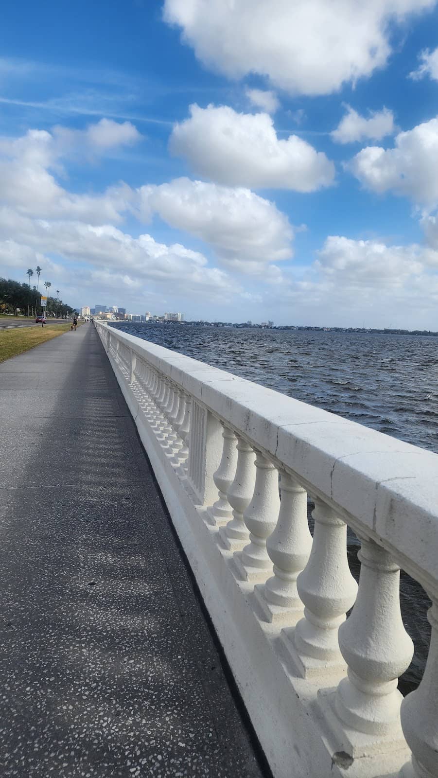 Vertical photo