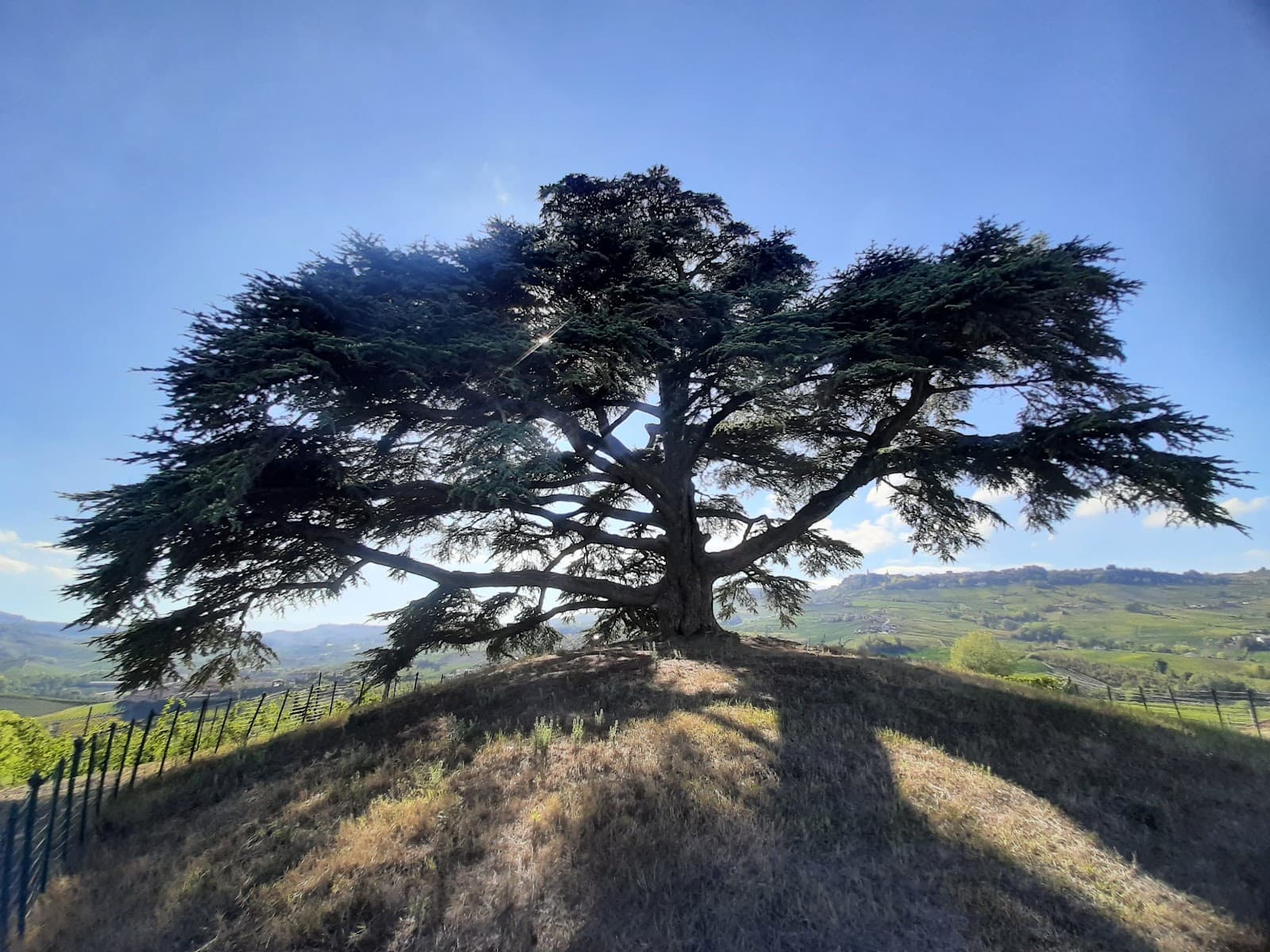 Annunziata hamlet - Image 1