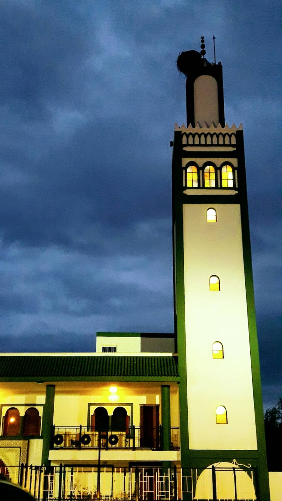 Vertical photo