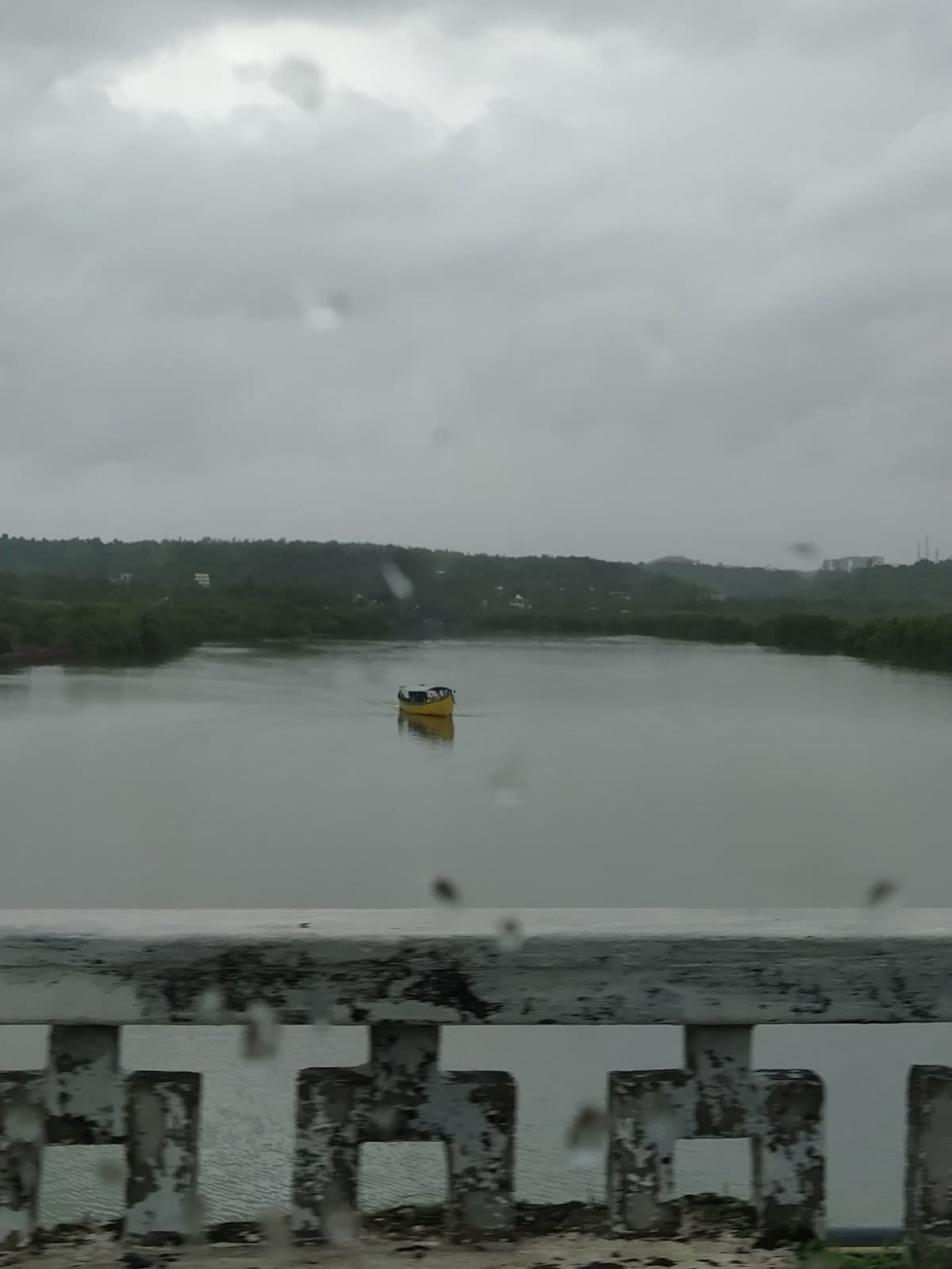 Nerul River Backwaters - Image 1