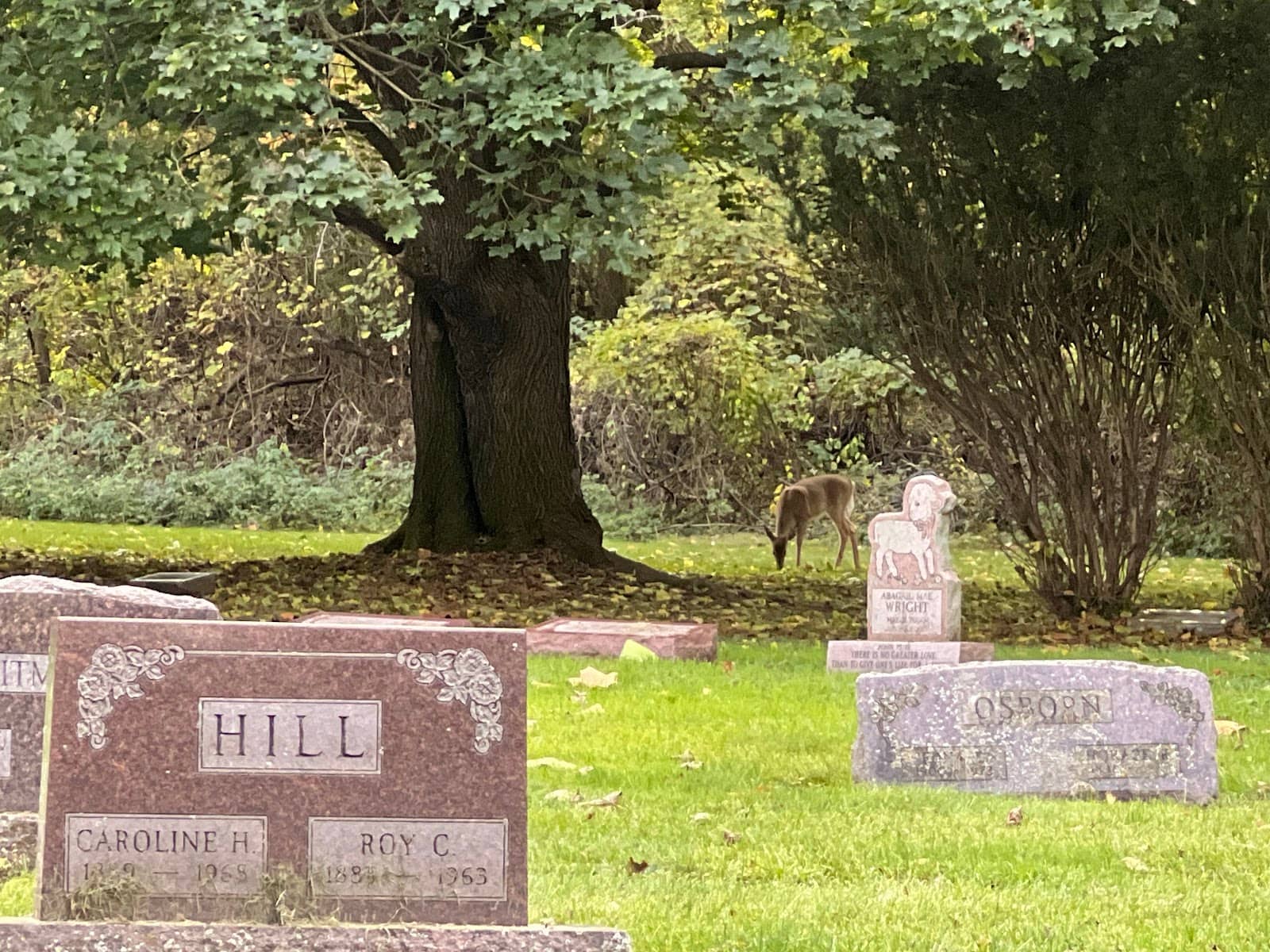 Civil War Veterans' Section