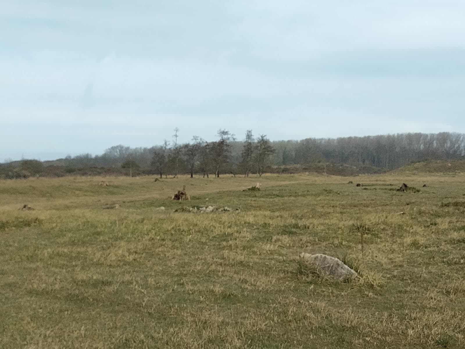 Krakeelduinen - Image 1