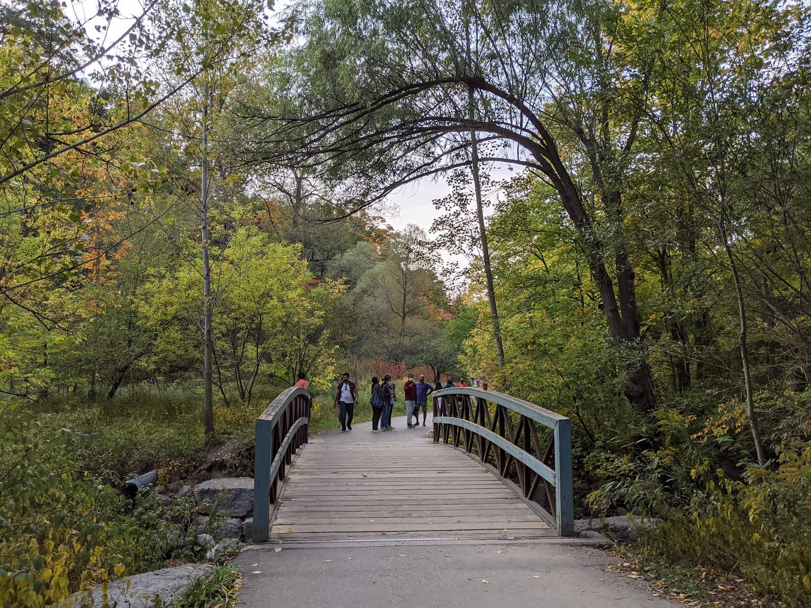 Wilket Creek Park - Image 1