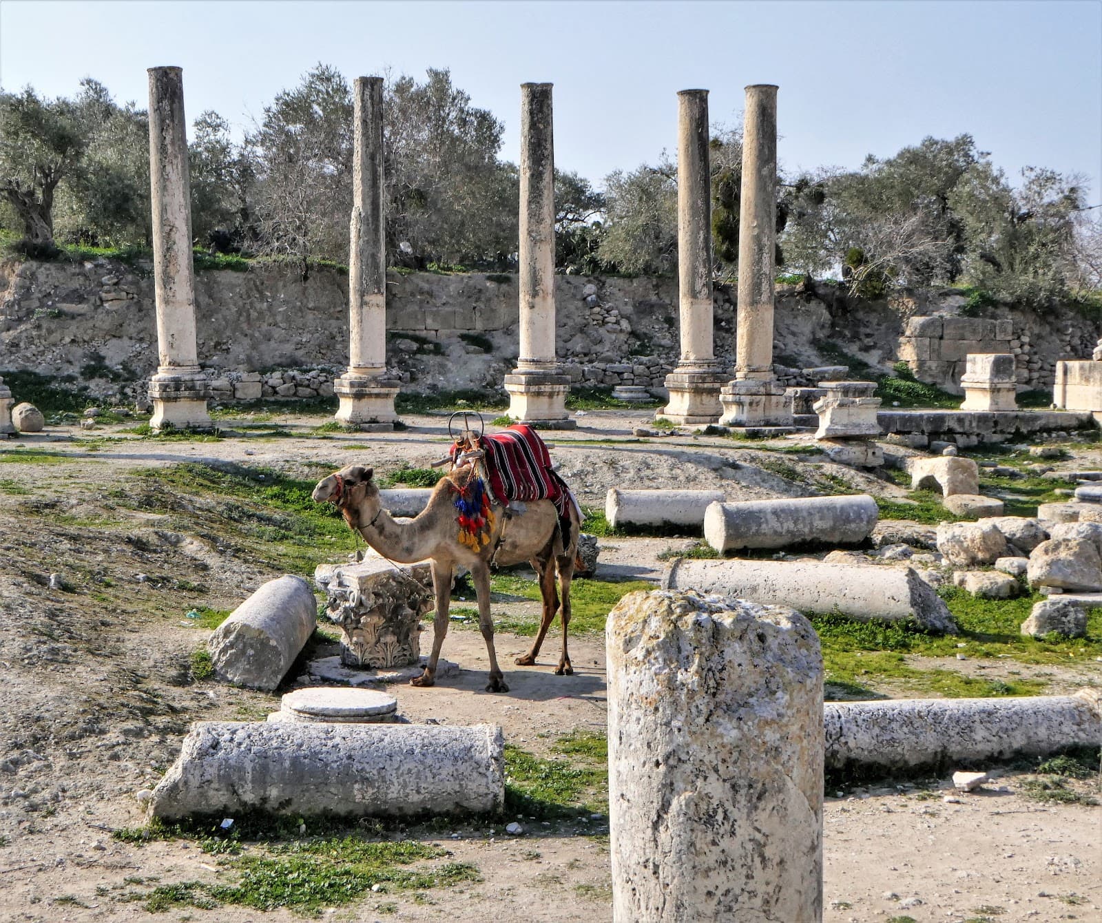 Samaria (Sebastia), Israel - Image 1