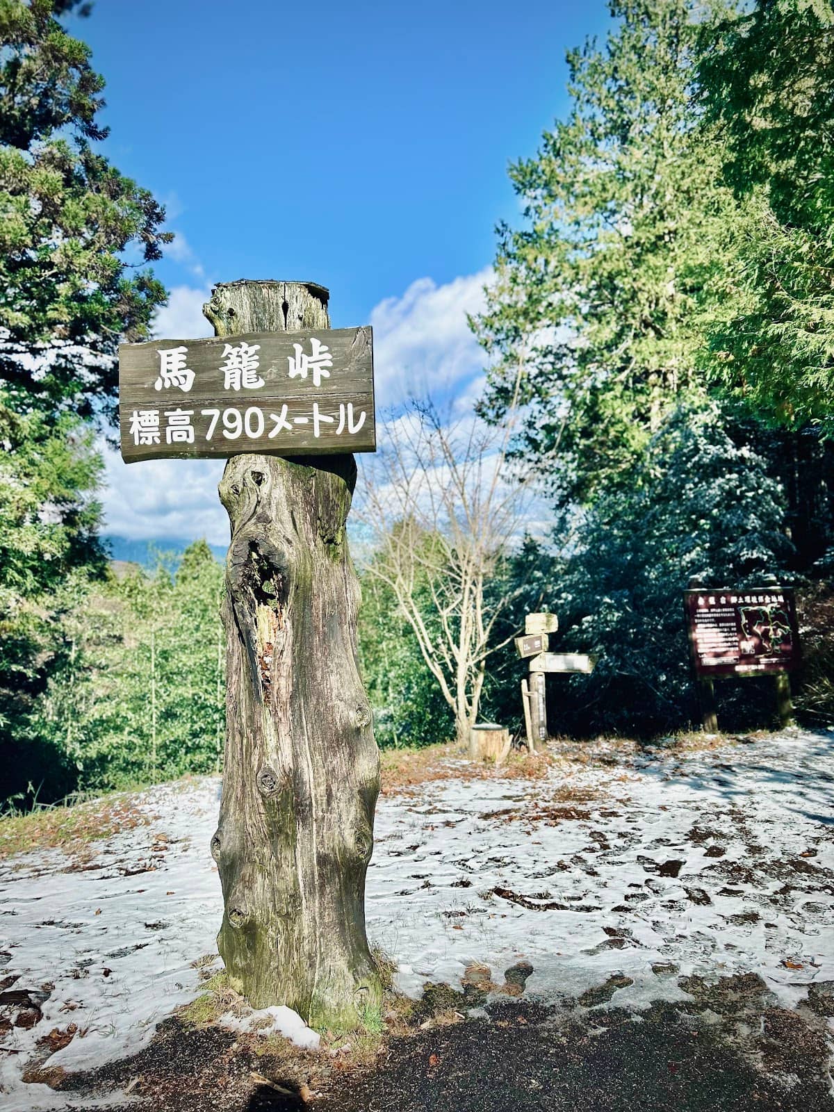 Vertical photo