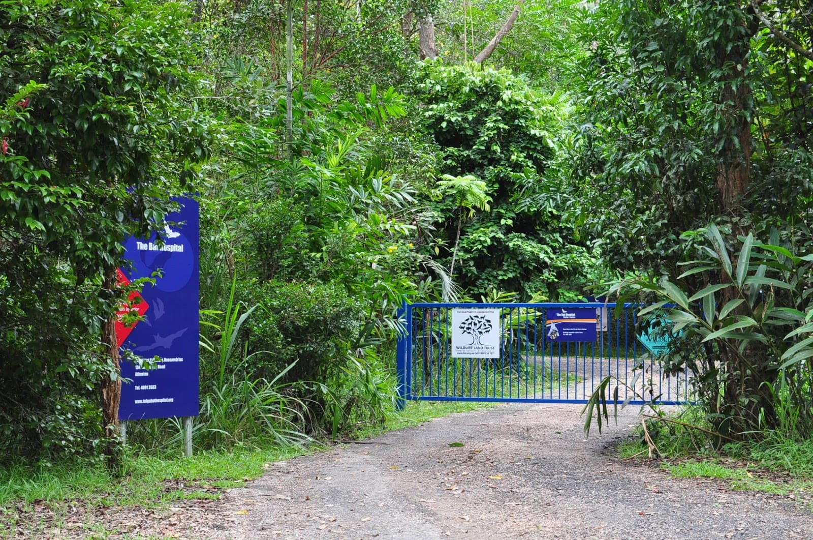 Tolga Bat Hospital - Image 1