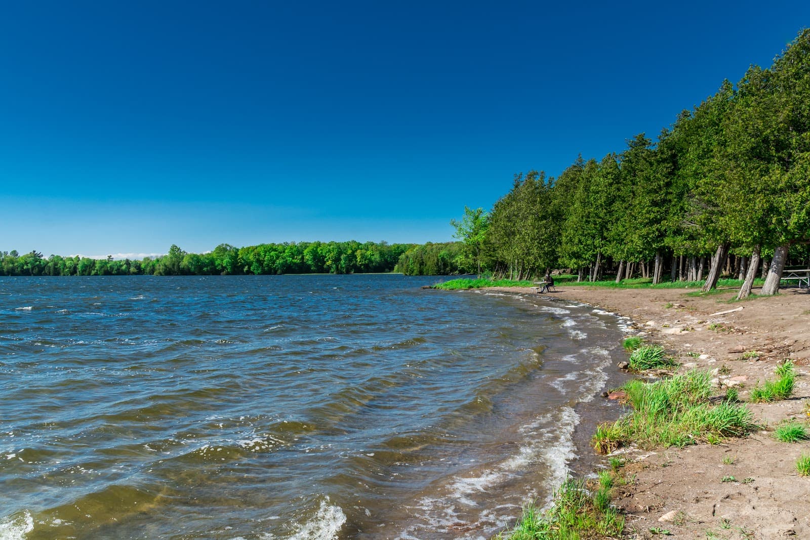 Selwyn Beach Conservation Area - Image 1