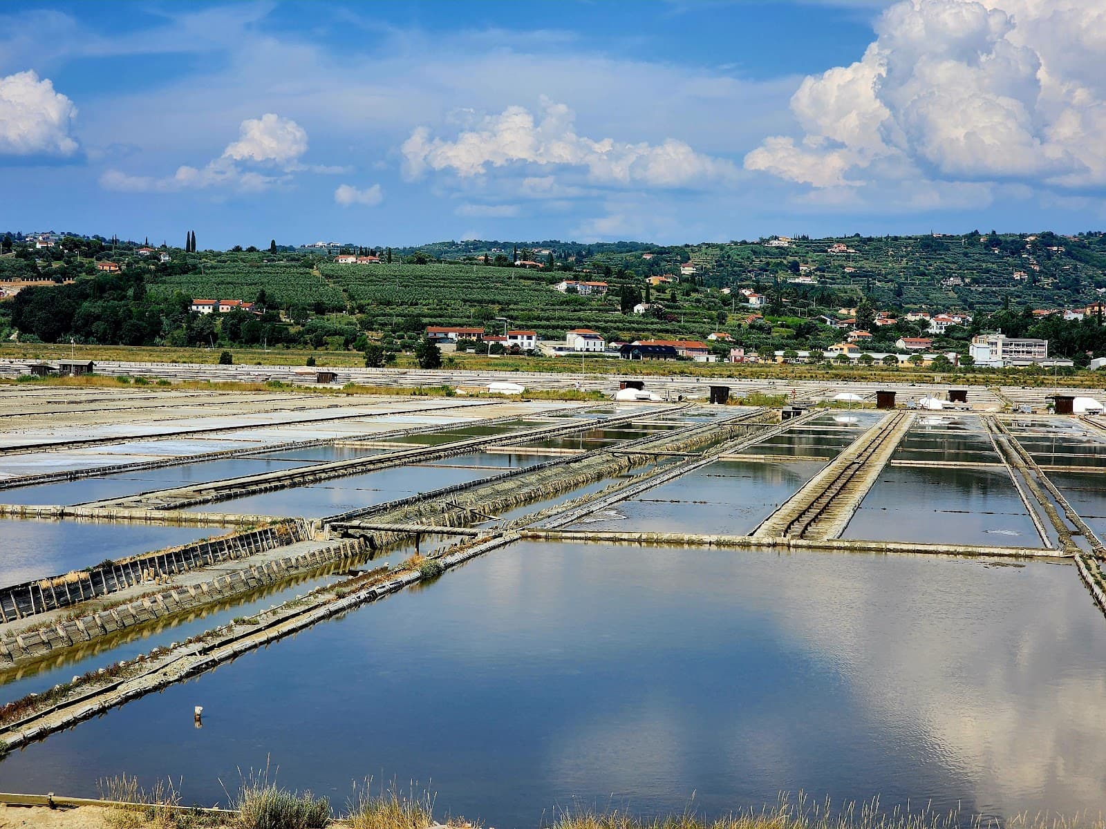 Sečovlje Salina Nature Park - Image 1