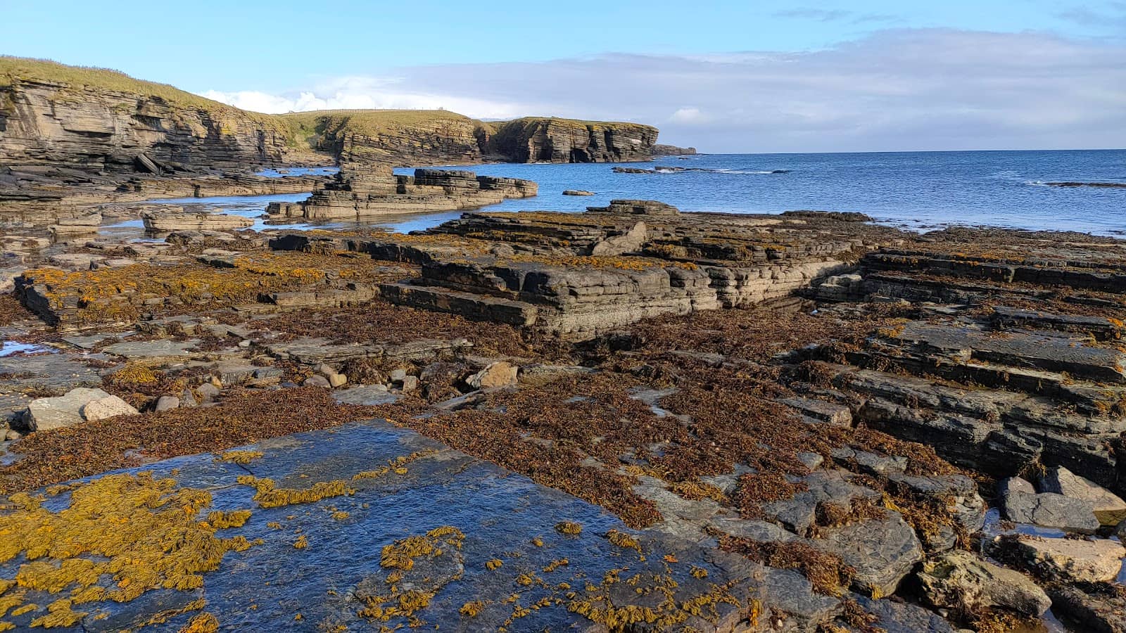 Coastal Views
