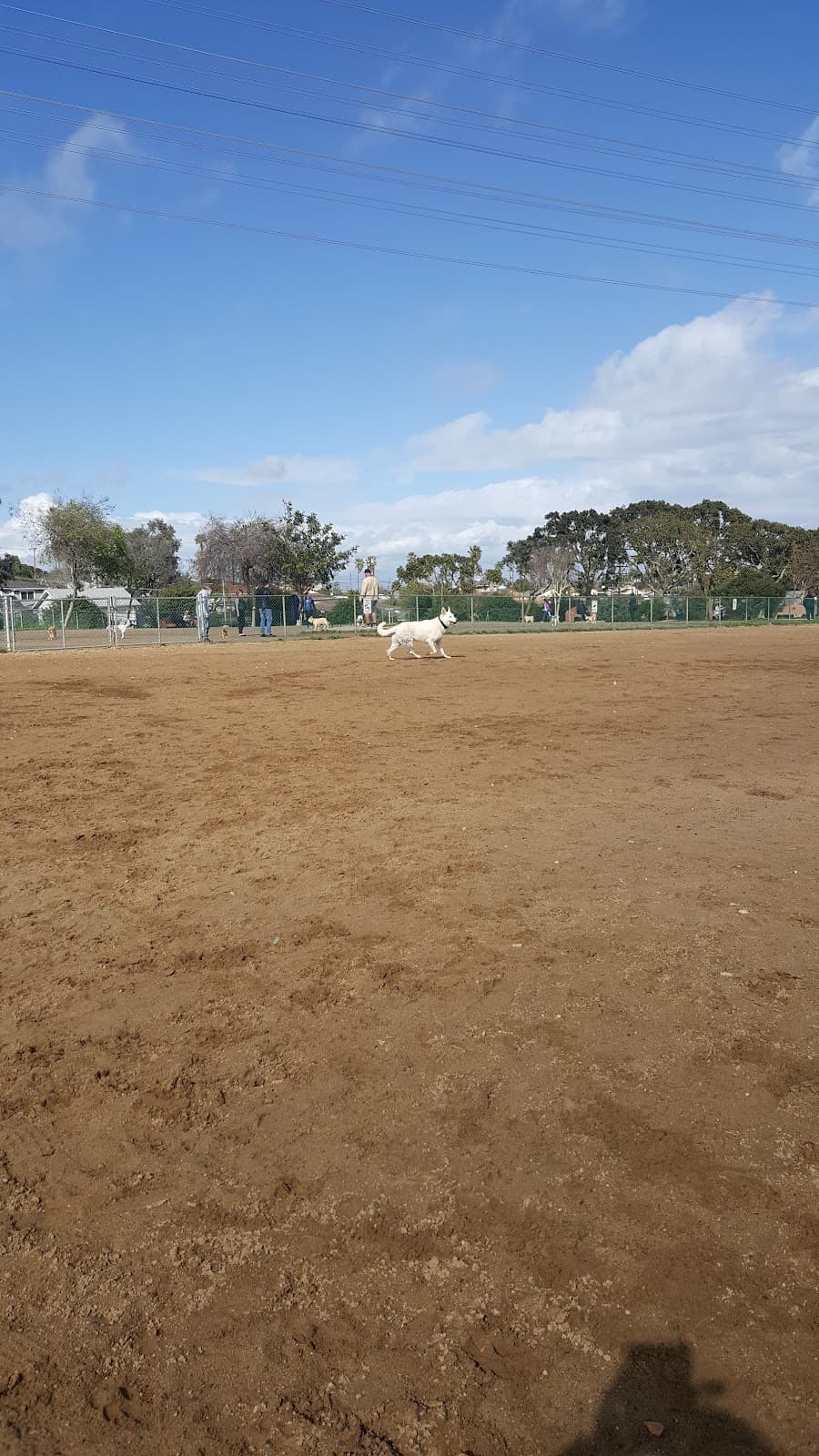 Redondo Beach Dog Park - Image 1