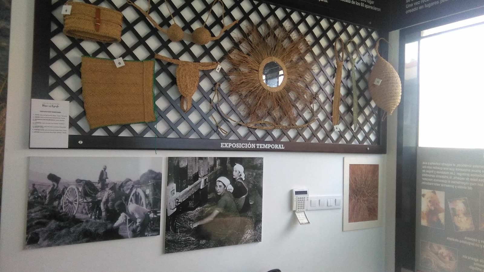 Molino Sagrera - Image 1