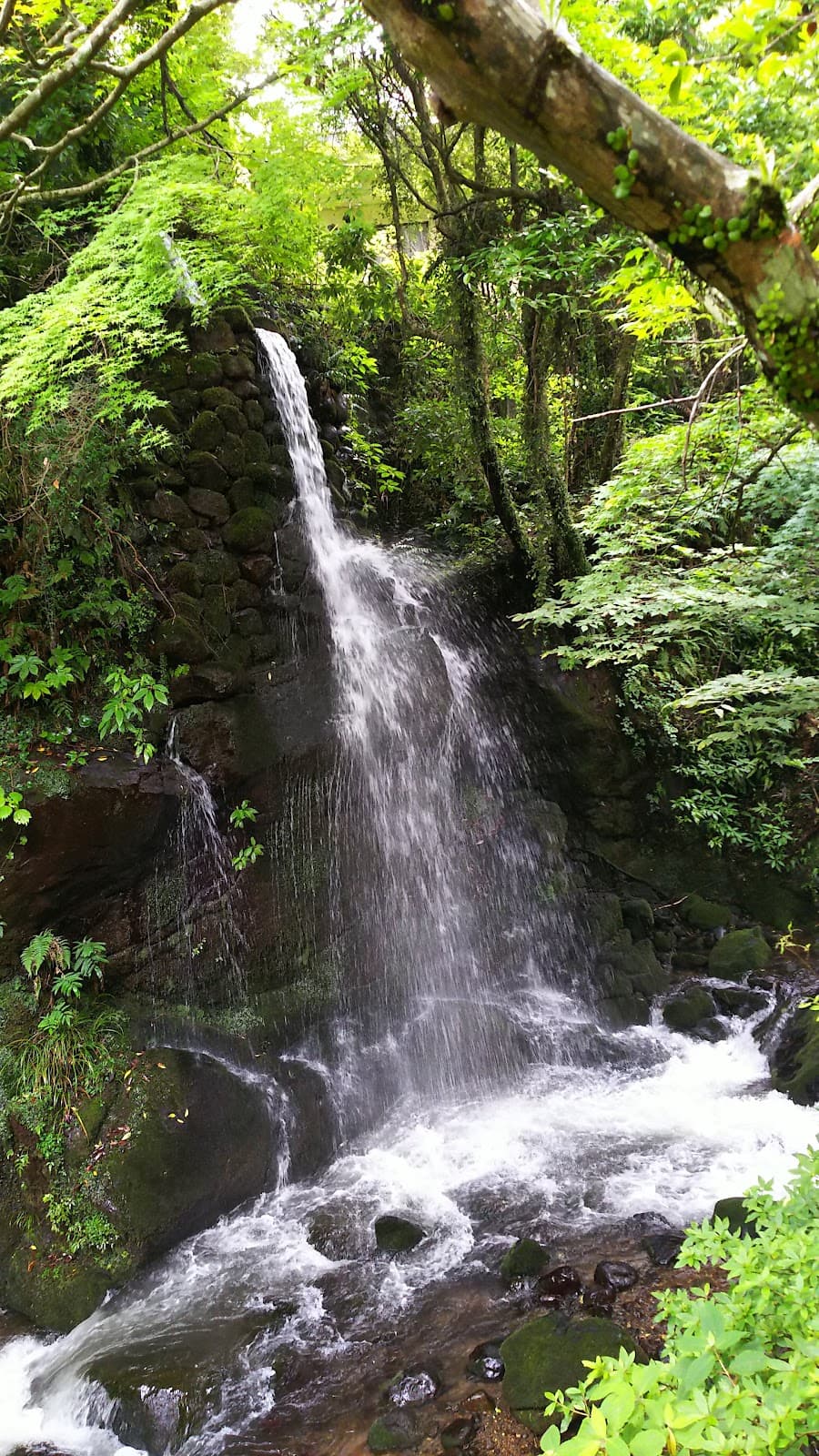 Manyo Park Yugawara - Image 1