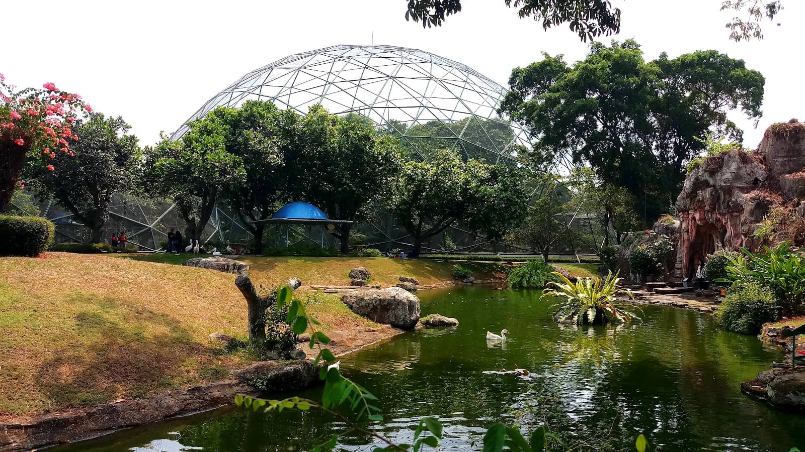 Educational Bird Displays