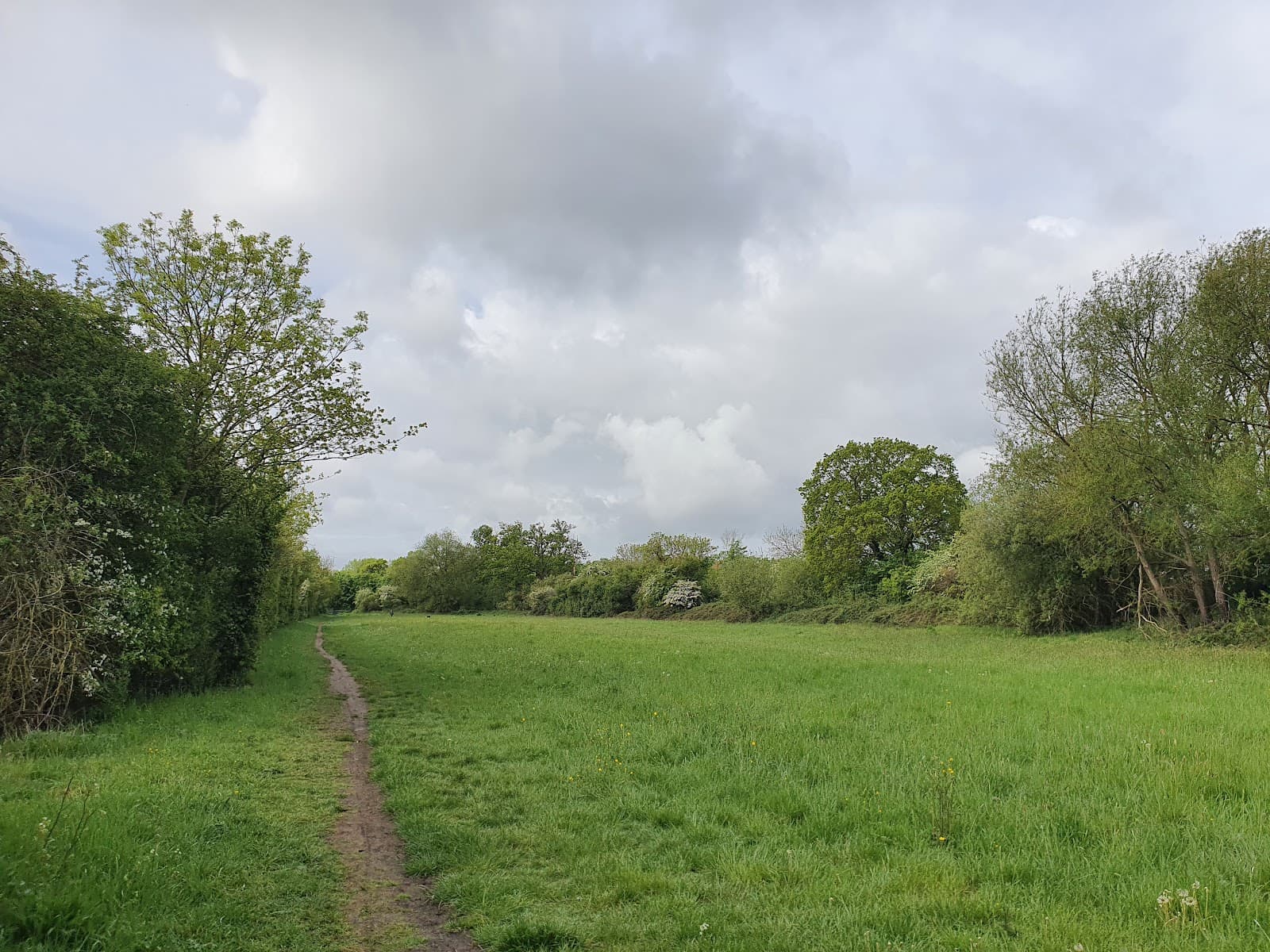 Ickenham Marsh - Image 1