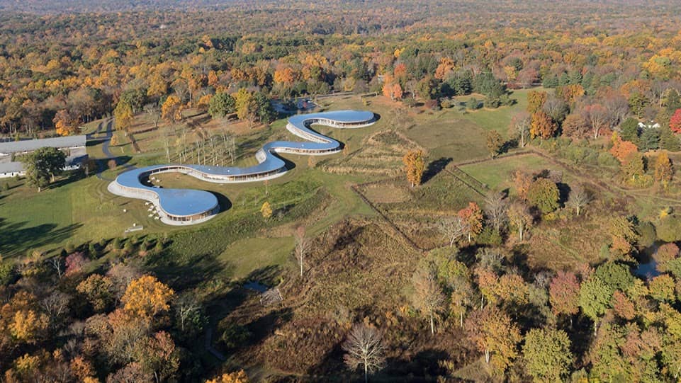 Architectural Contrast