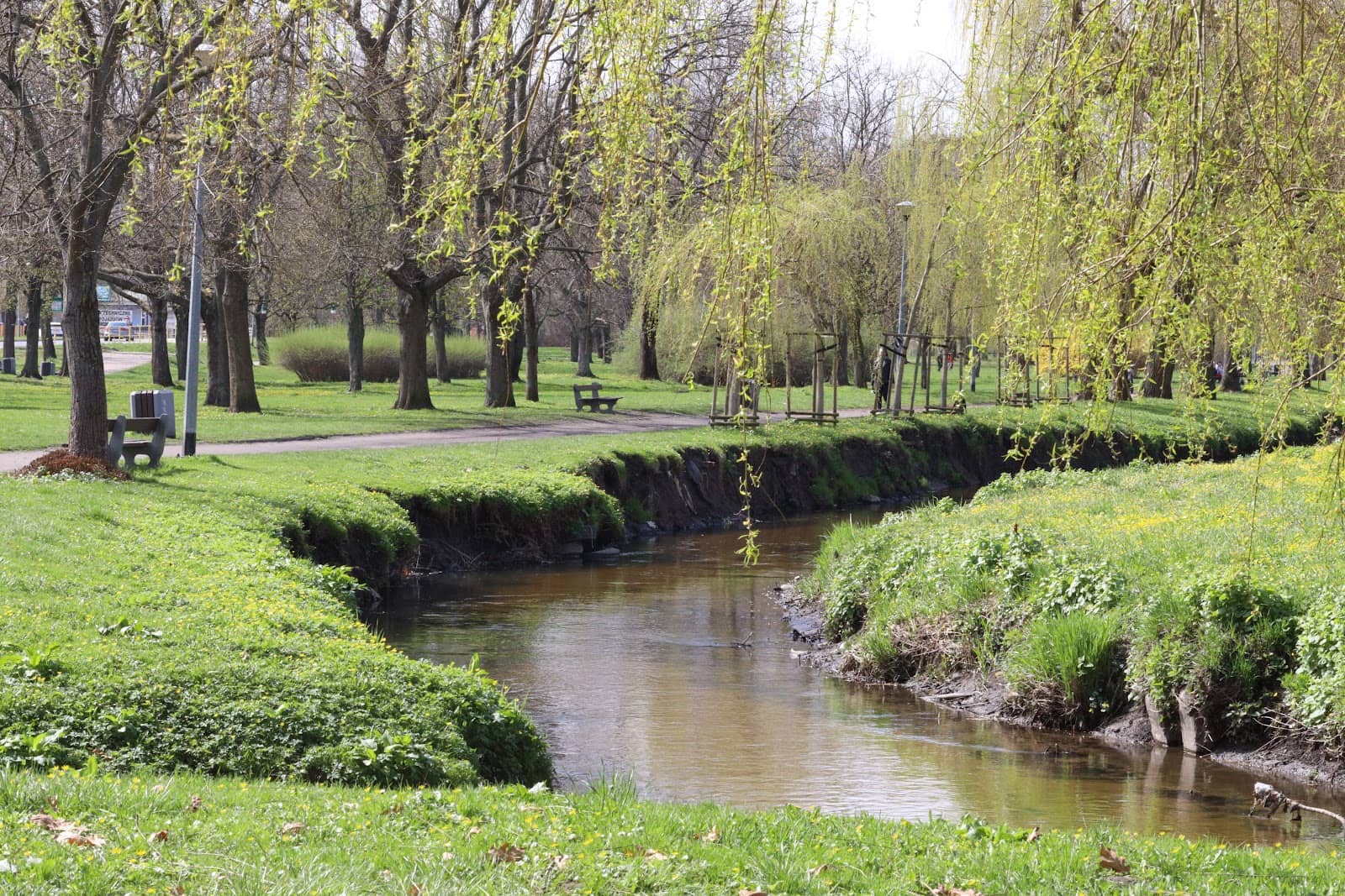 Post-Rainfall Scenery