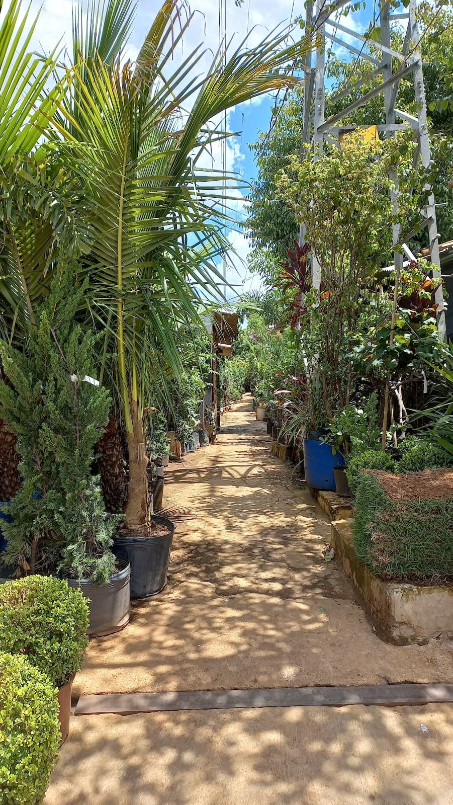 Jardim Rochdale - Image 1