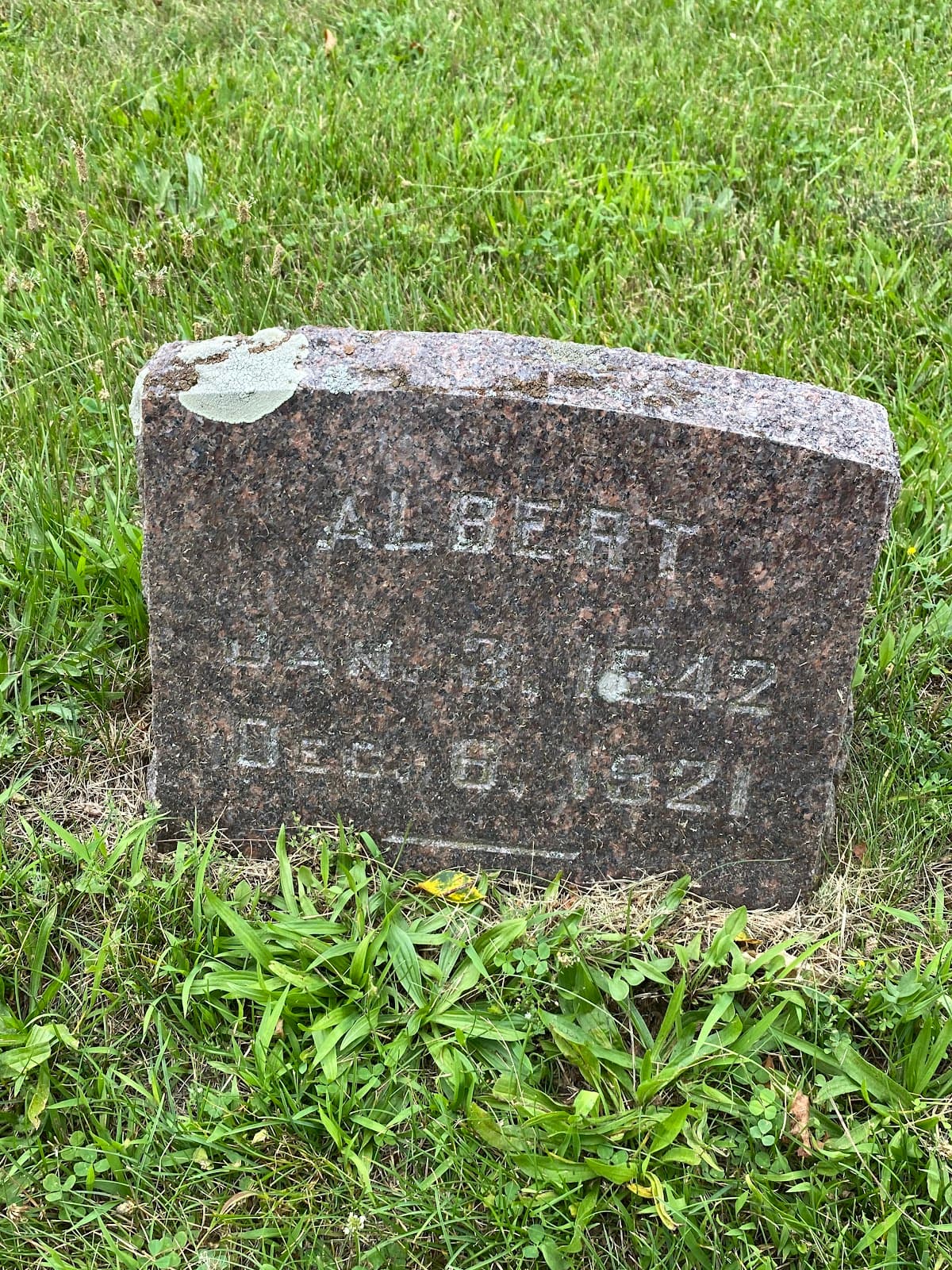 Bayside Cemetery - Image 1
