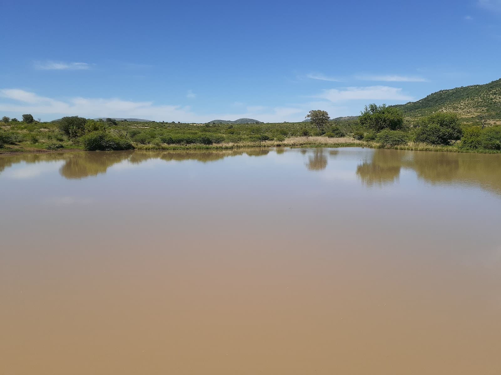 Rathlogo Hide - Image 1