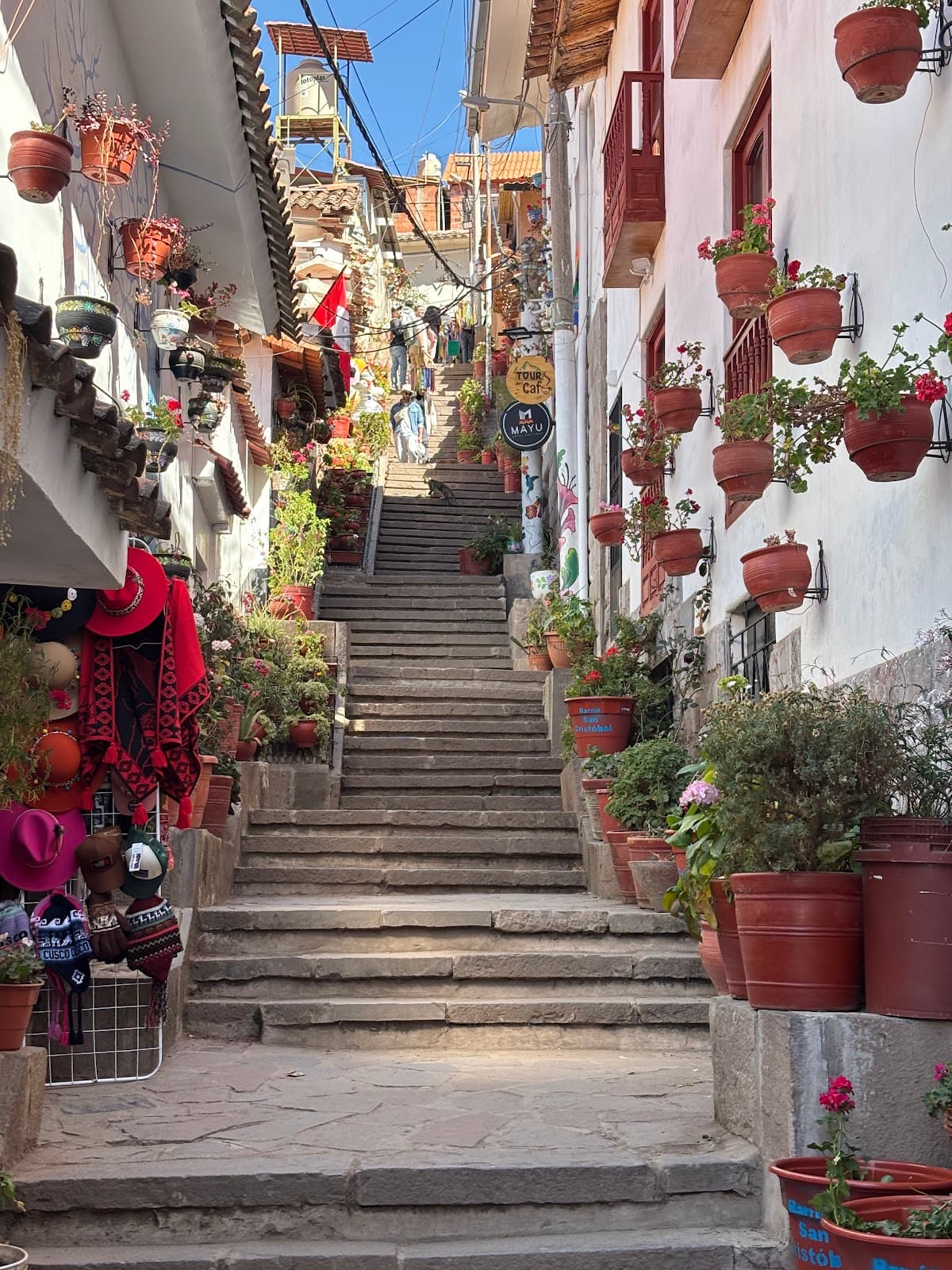 Seven Little Lambs Street - Image 1