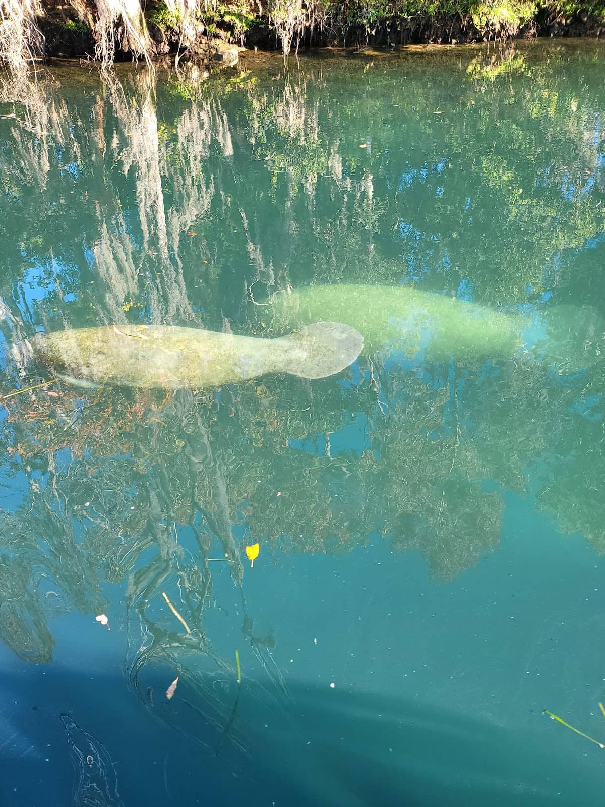 Crystal River Archaeological State Park