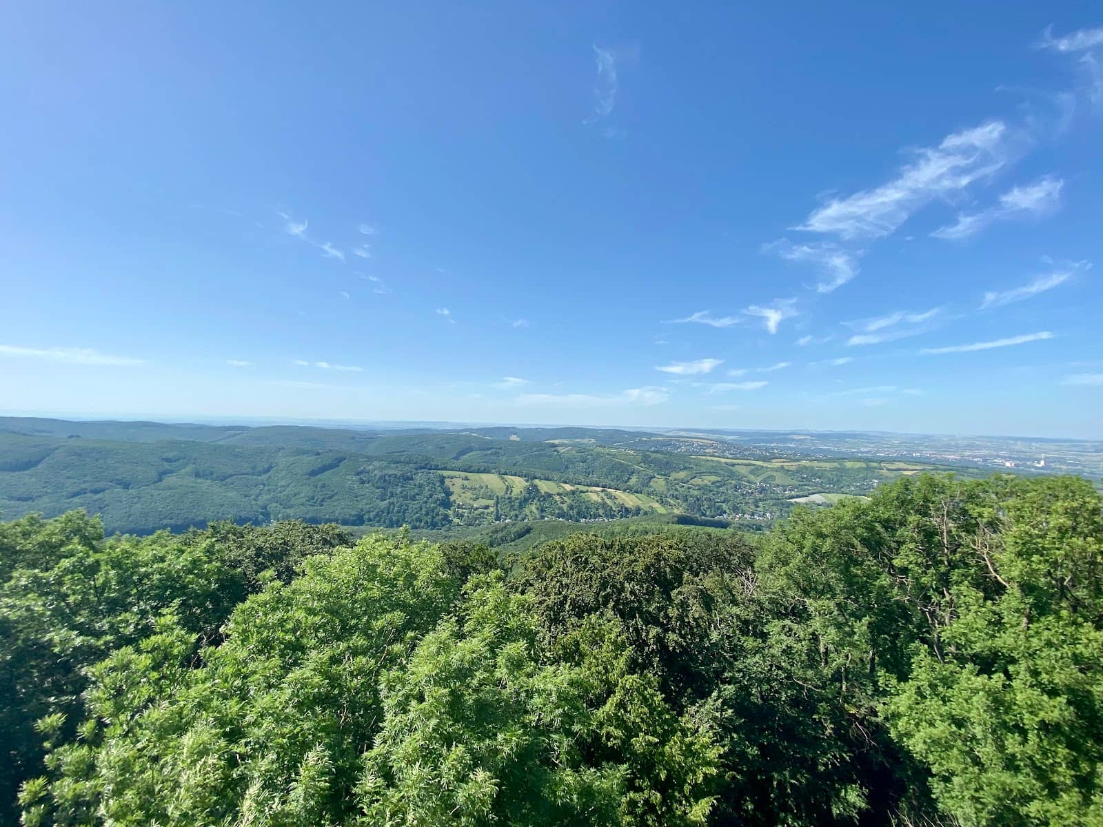 Scenic City Walk Route