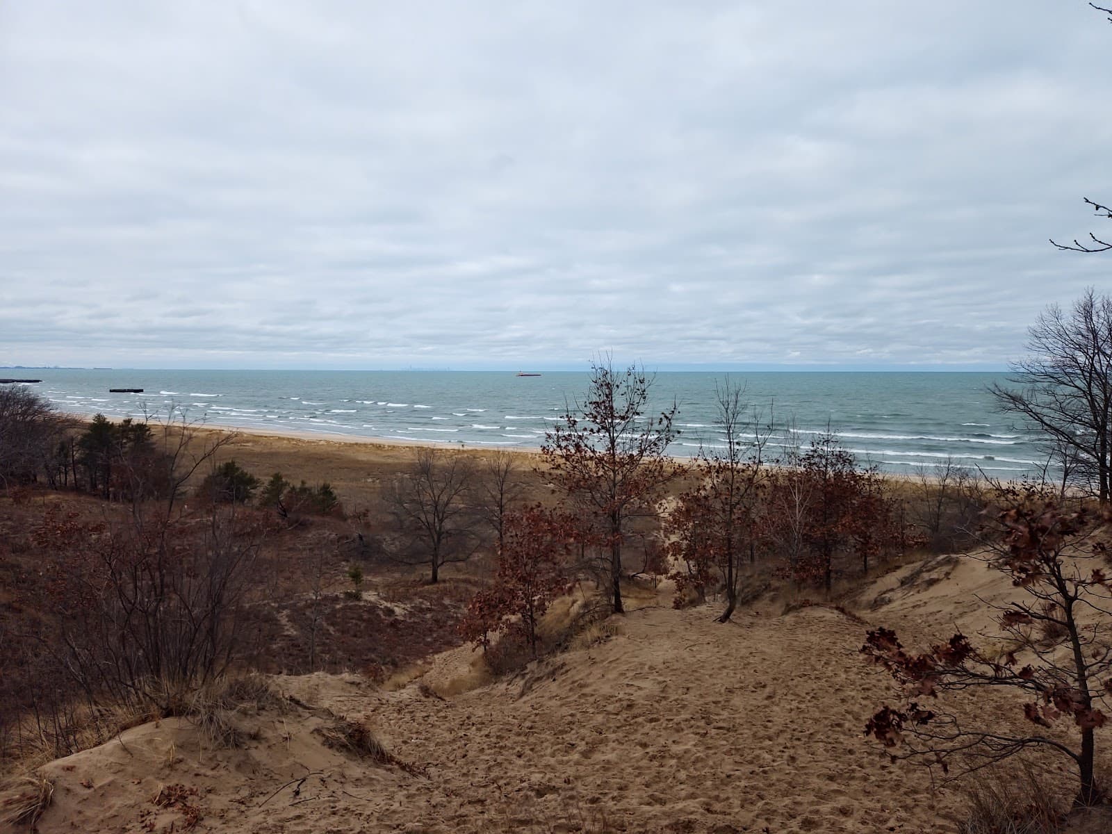 Cowles Bog - Image 1