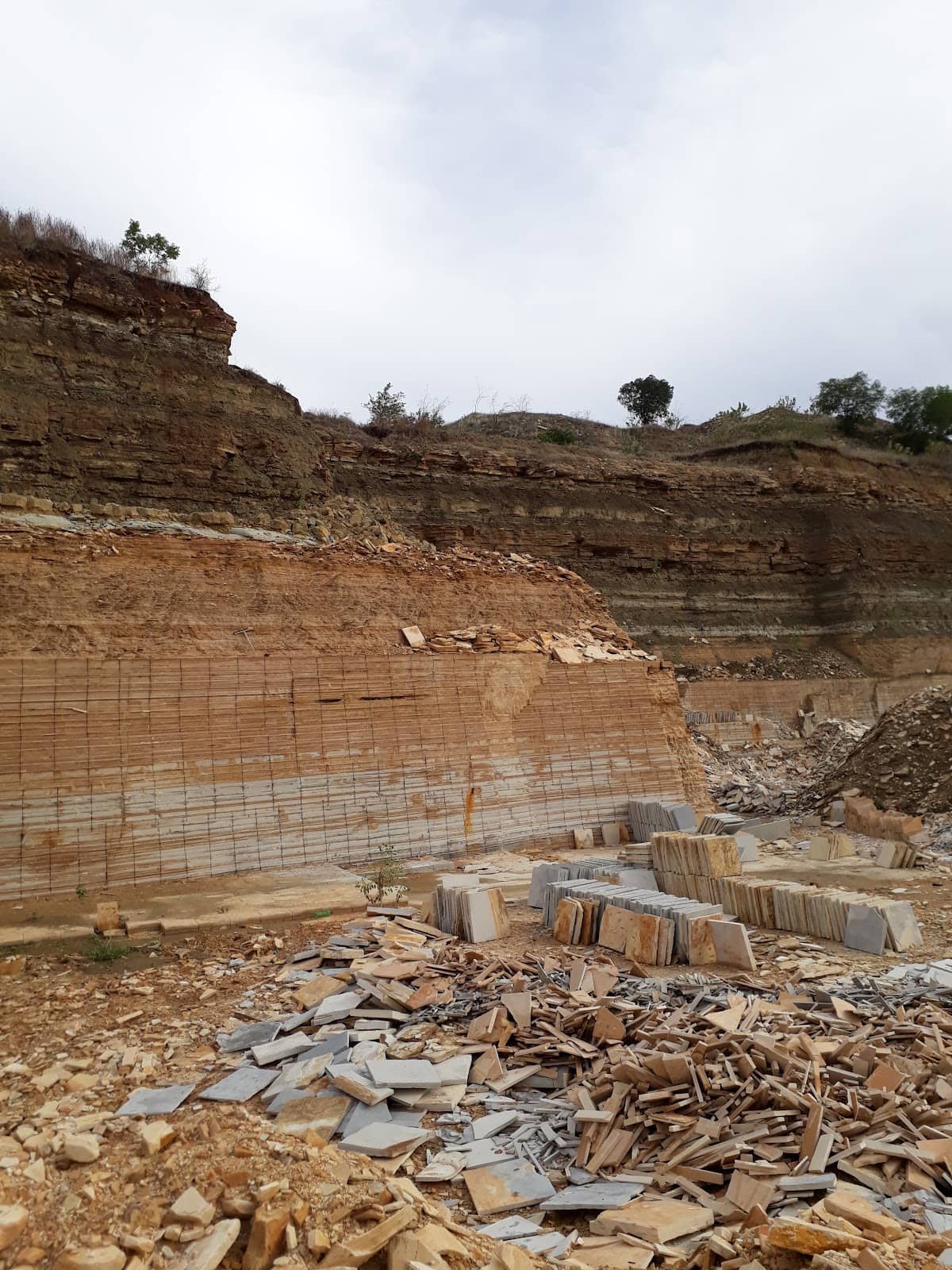 Paleontological Discoveries