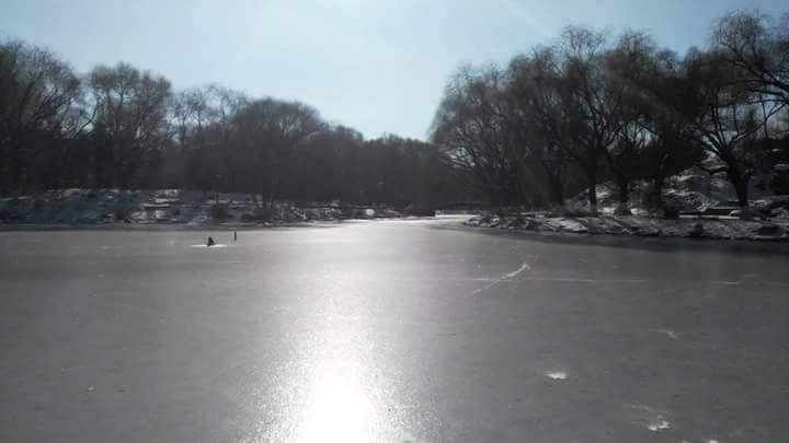 Children's Play Area