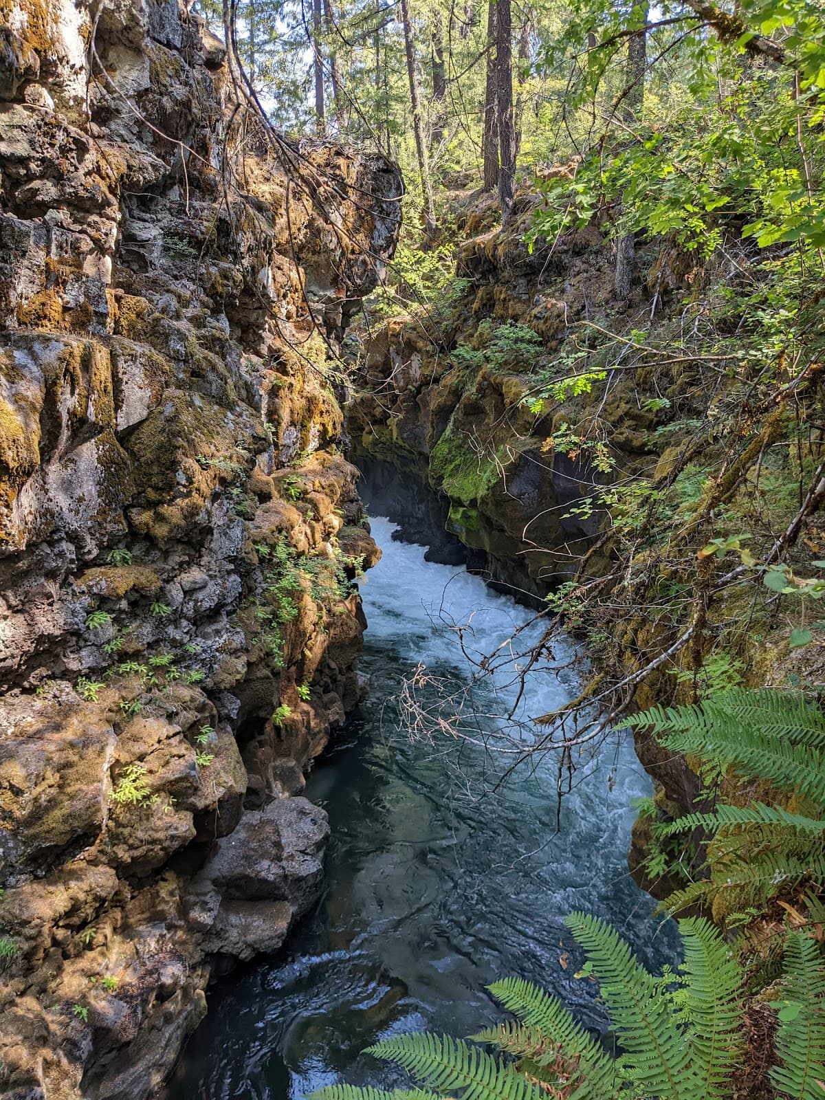 Rogue River Gorge Viewpoint - Image 1