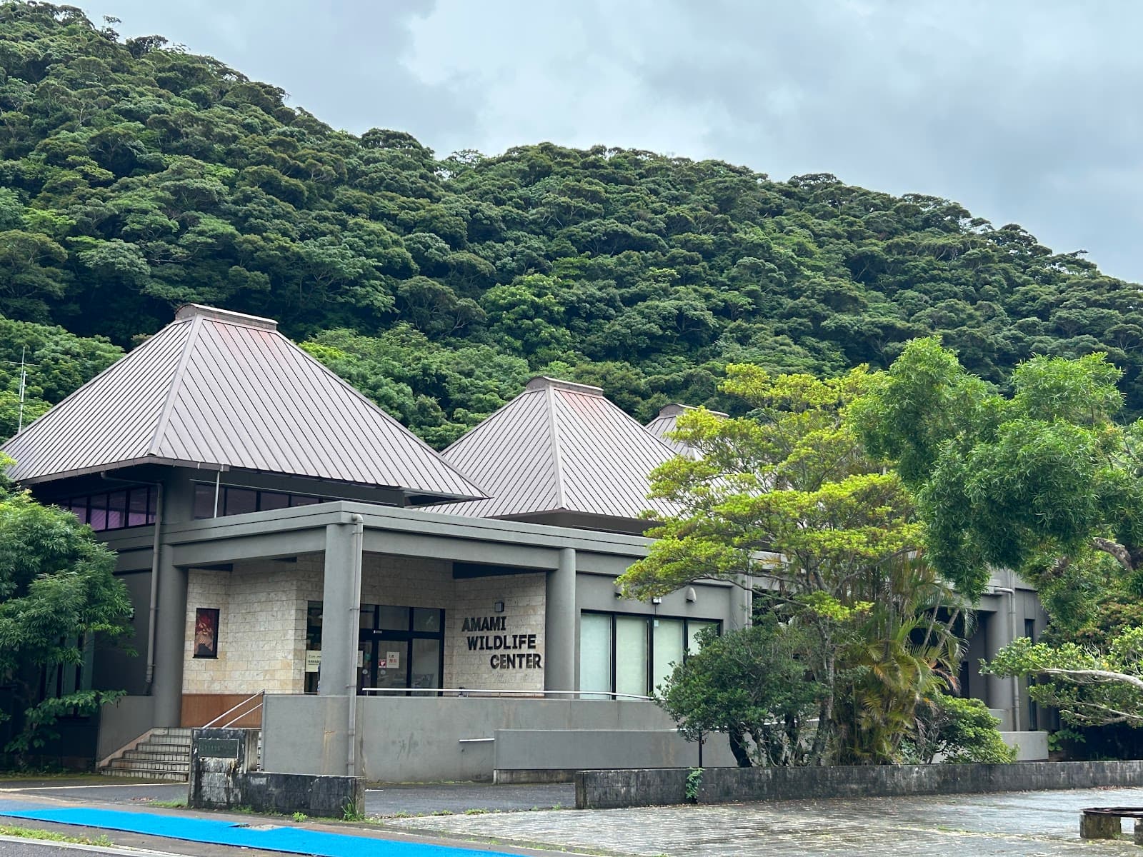 Amami Wildlife Conservation Center - Image 1