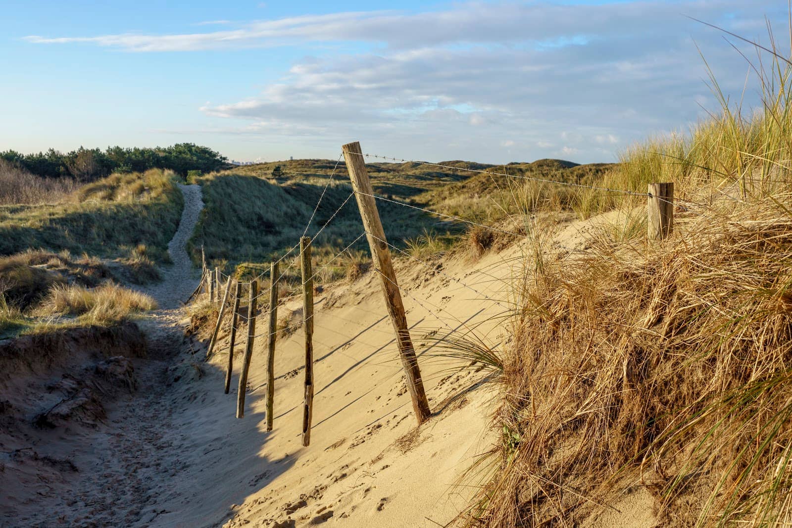 Proximity to The Hague