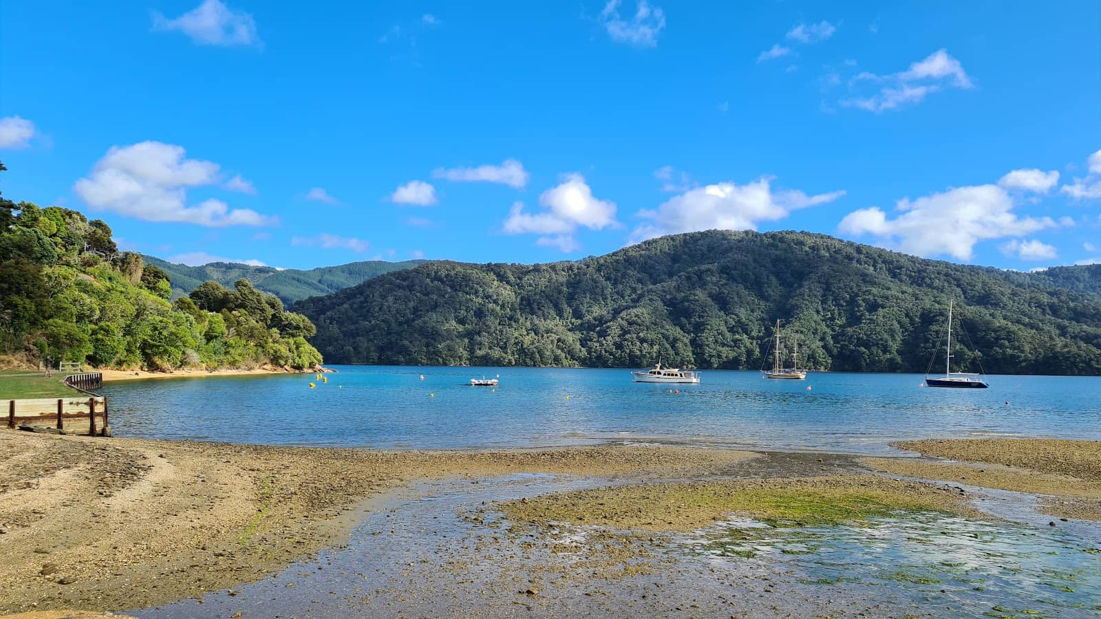 Peaceful Jetty Views