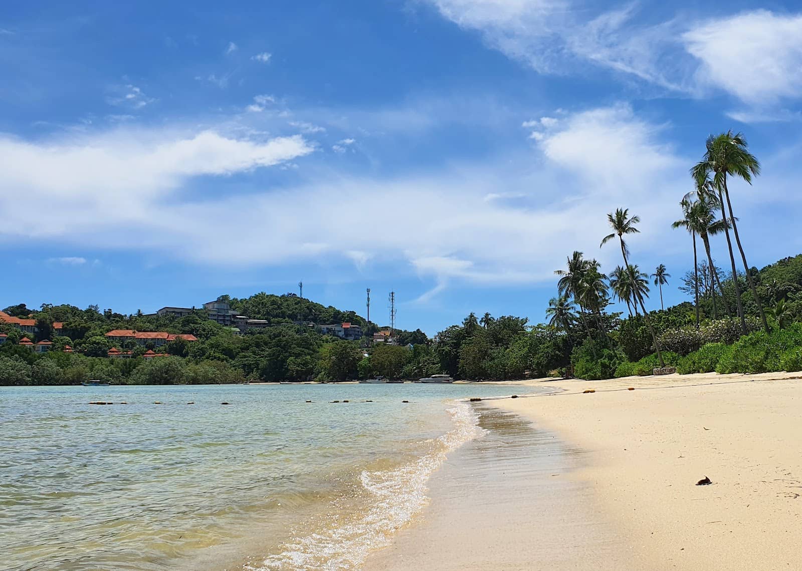Marine Life at Low Tide